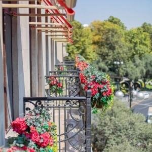 Deluxe King with Balcony