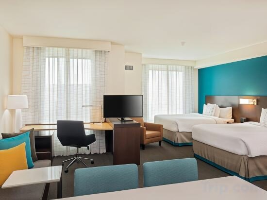 Two Queen Beds Studio With Sofa Bed