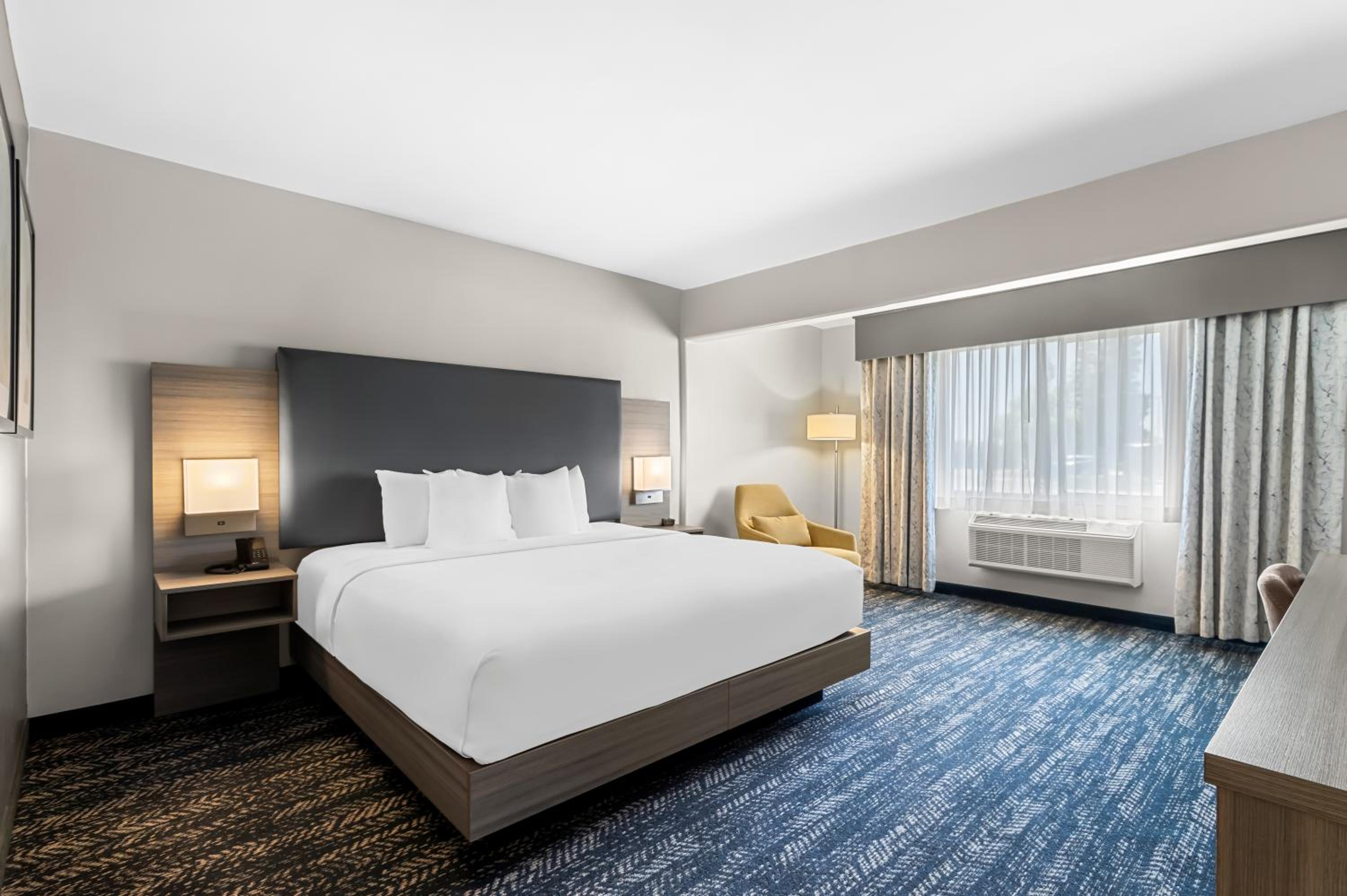 One-Bedroom King Suite - Non-Smoking