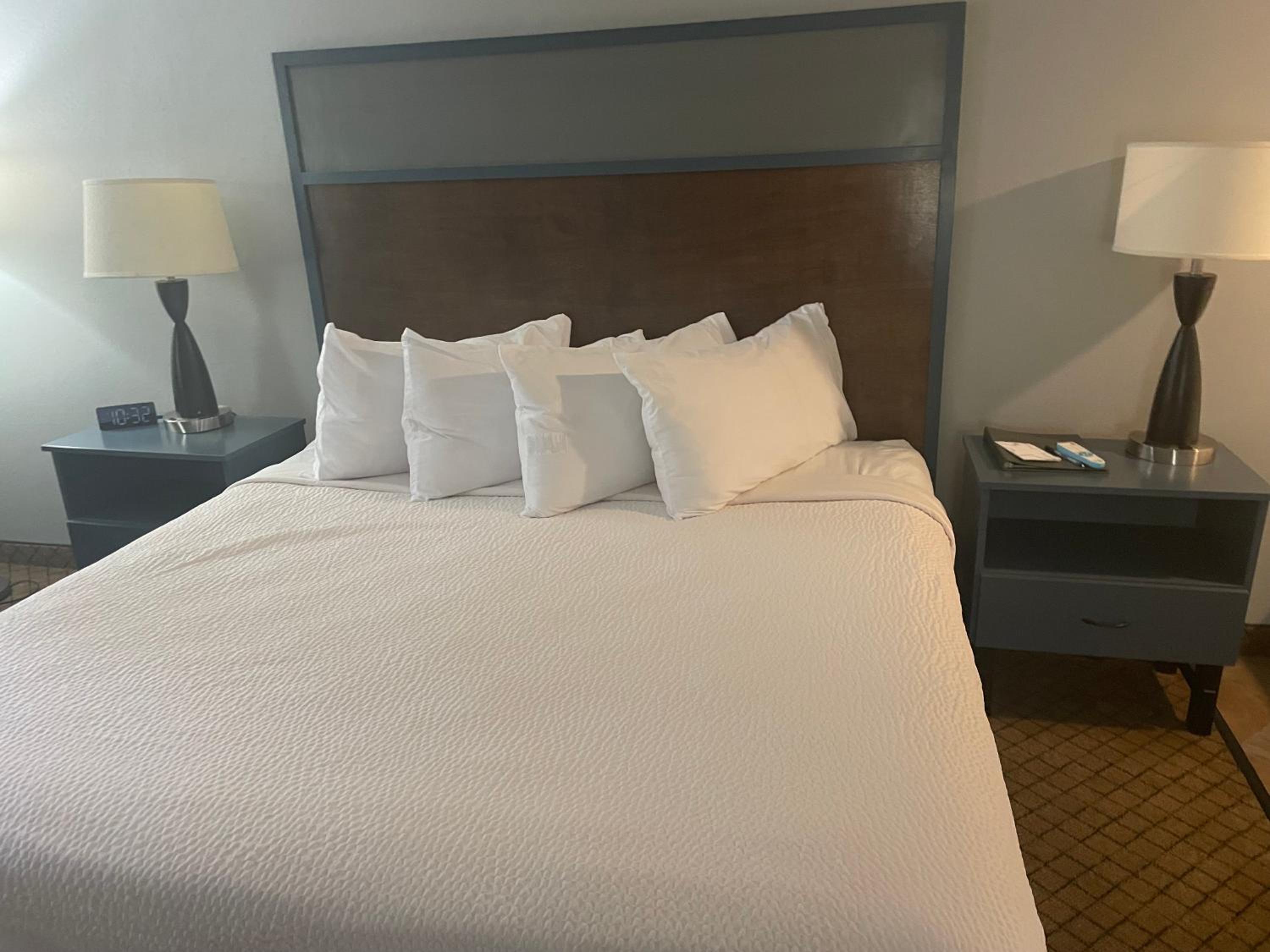 1 King Bed, Premier Junior Suite, Non-Smoking