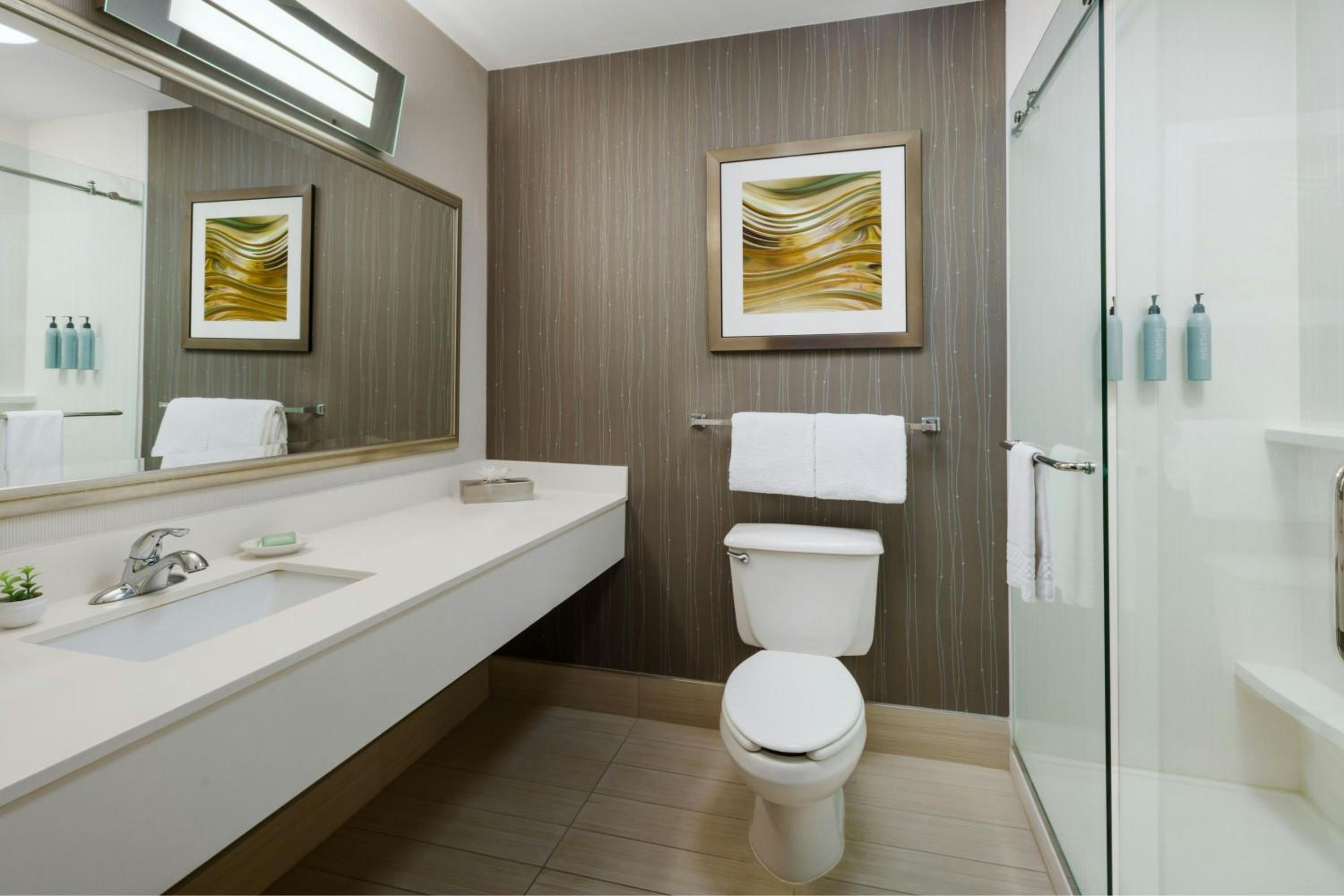 One-Bedroom King Suite with Sofa Bed - Hearing Accessible