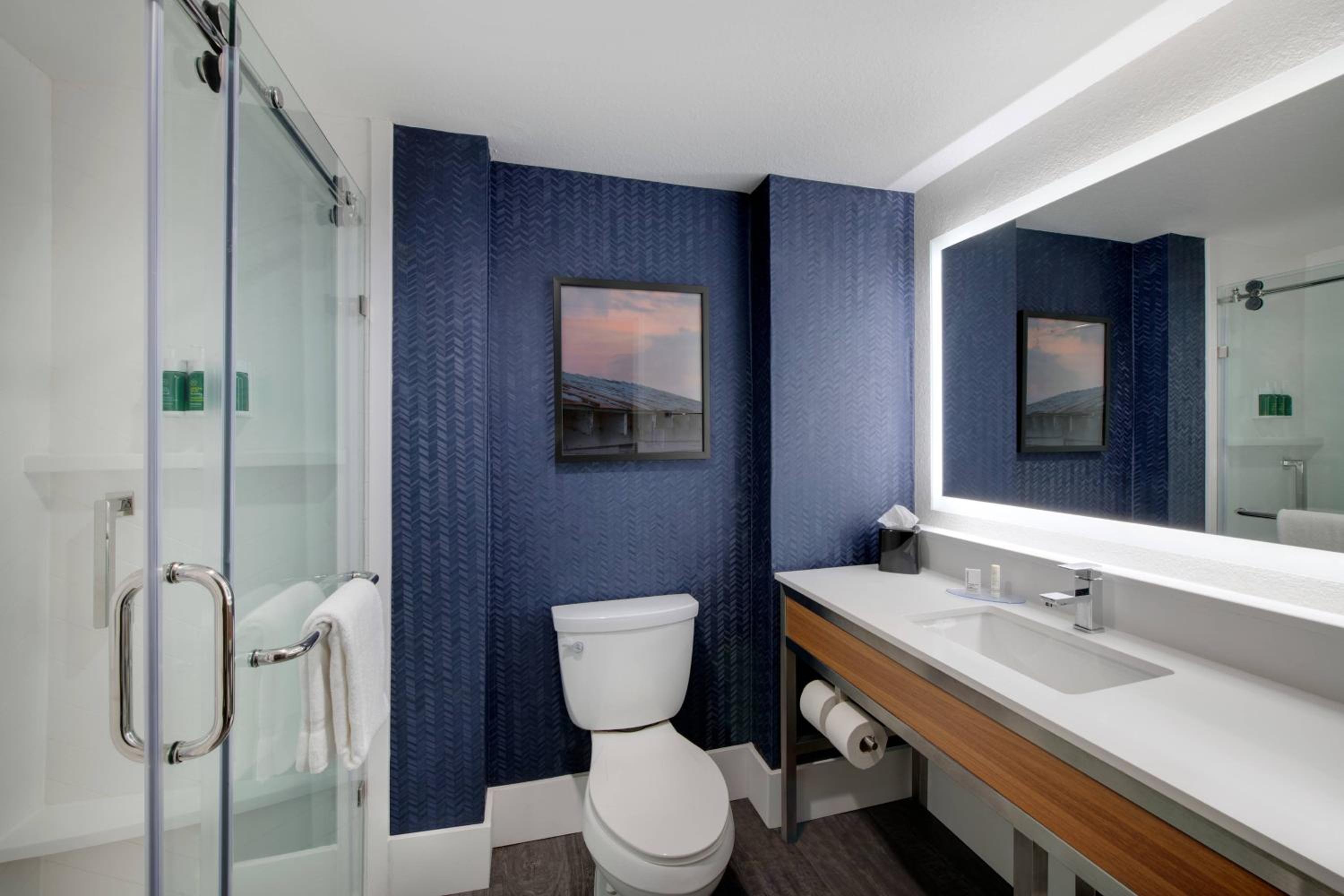 King Room with Roll-in Shower - Mobility and Hearing Accessible