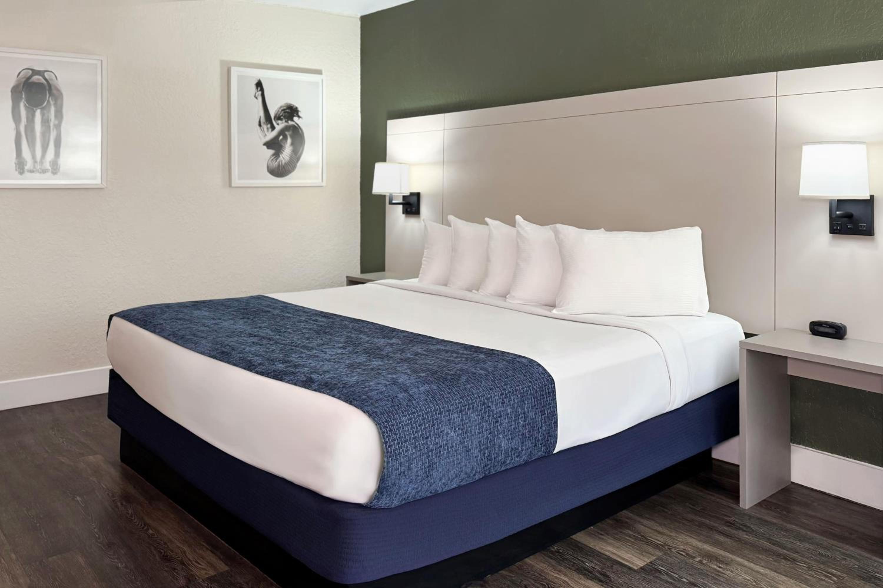 Garden King Room - Non-Smoking