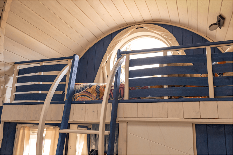 Синий биодом