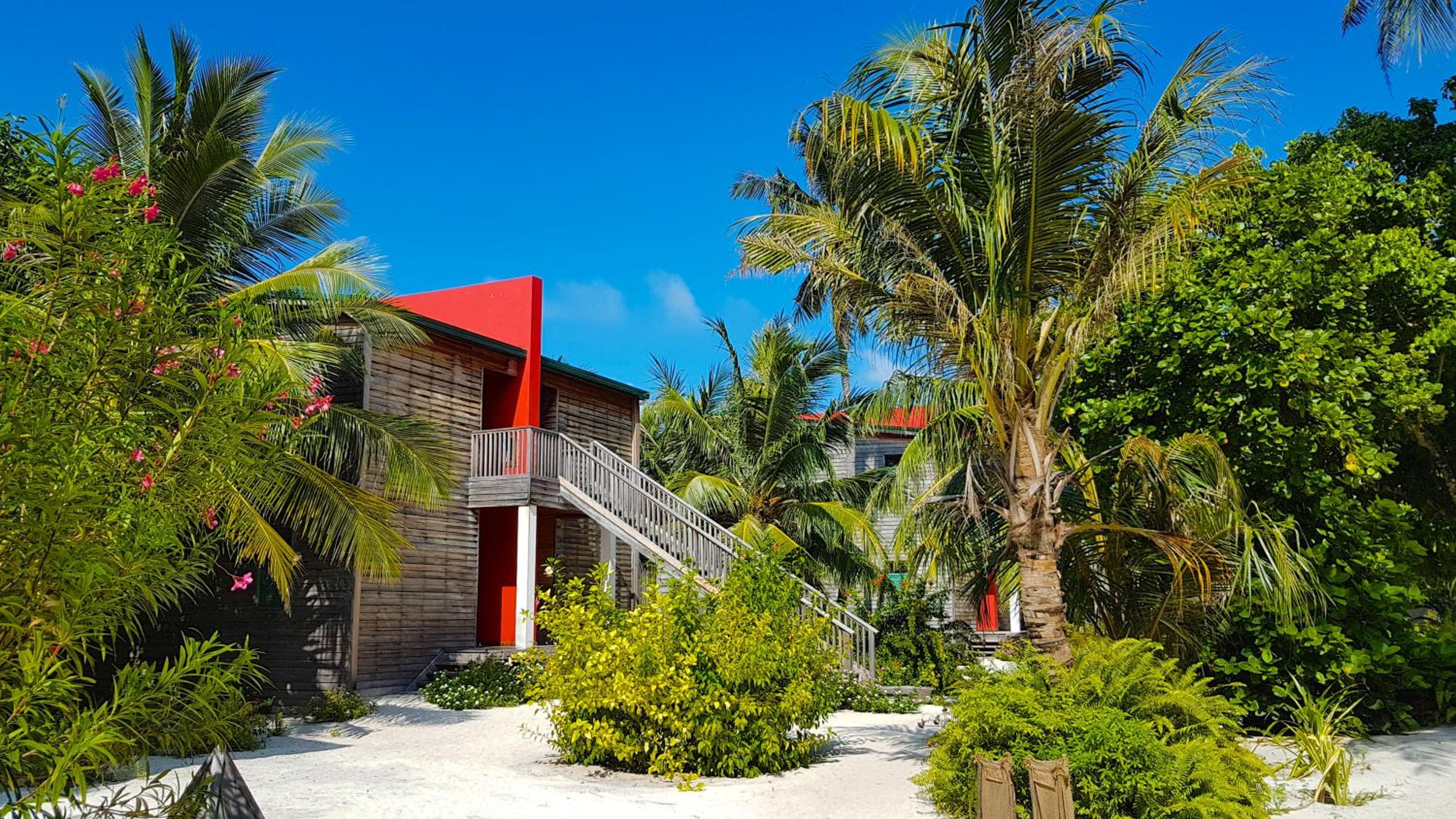 Double Room with Ocean View