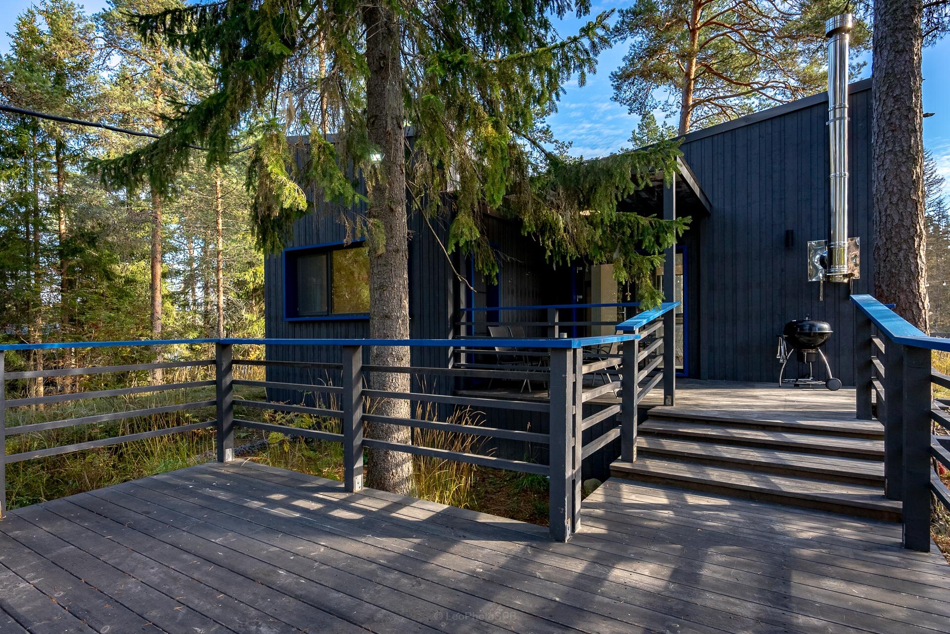 Дом с видом на лес