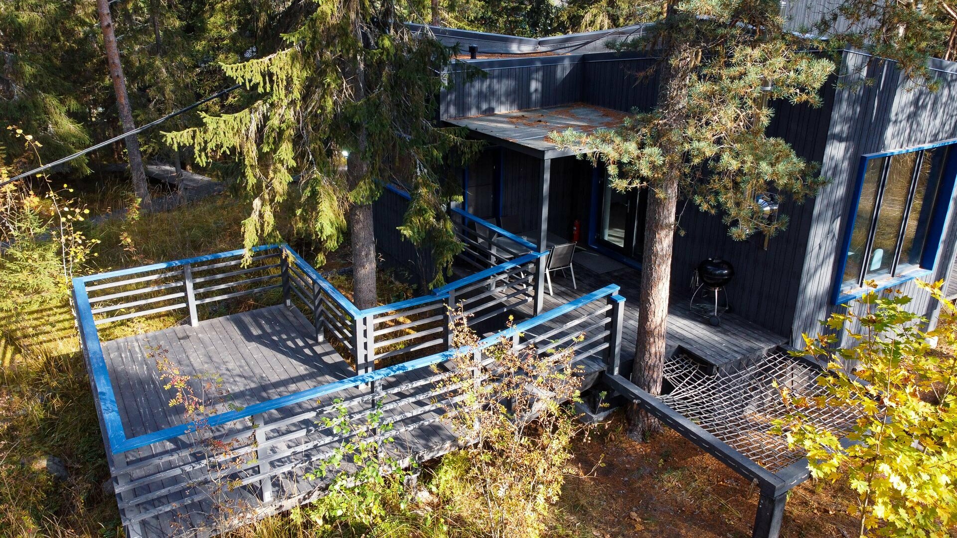 Дом с видом на лес