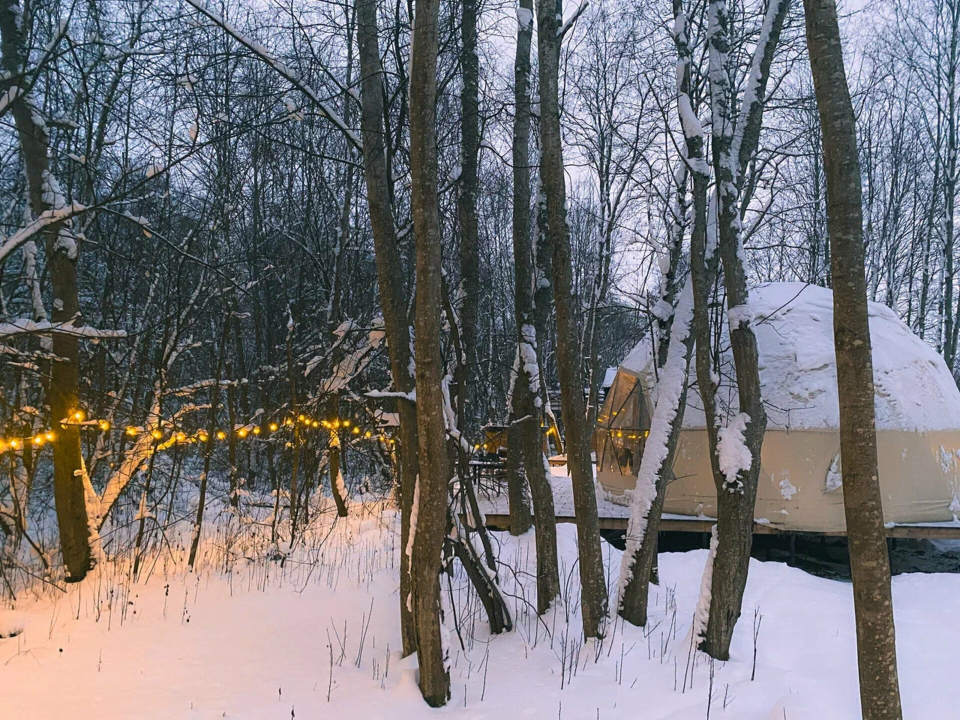 Геокупол Люкс "Свидание на крыше"