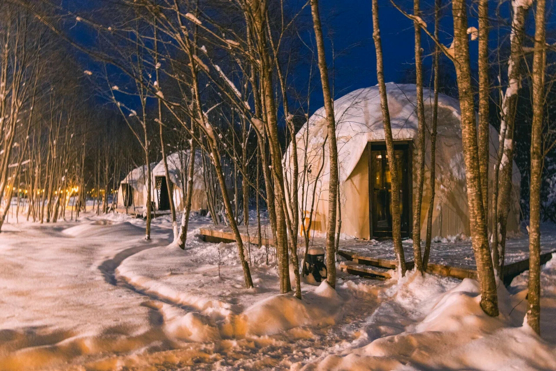 Геокупол Сьют "Замки Луары"