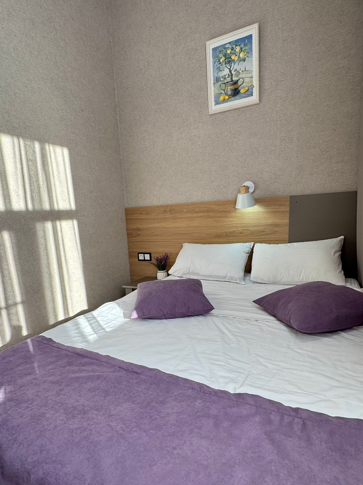 Стандарт плюс одноместный с большой кроватью