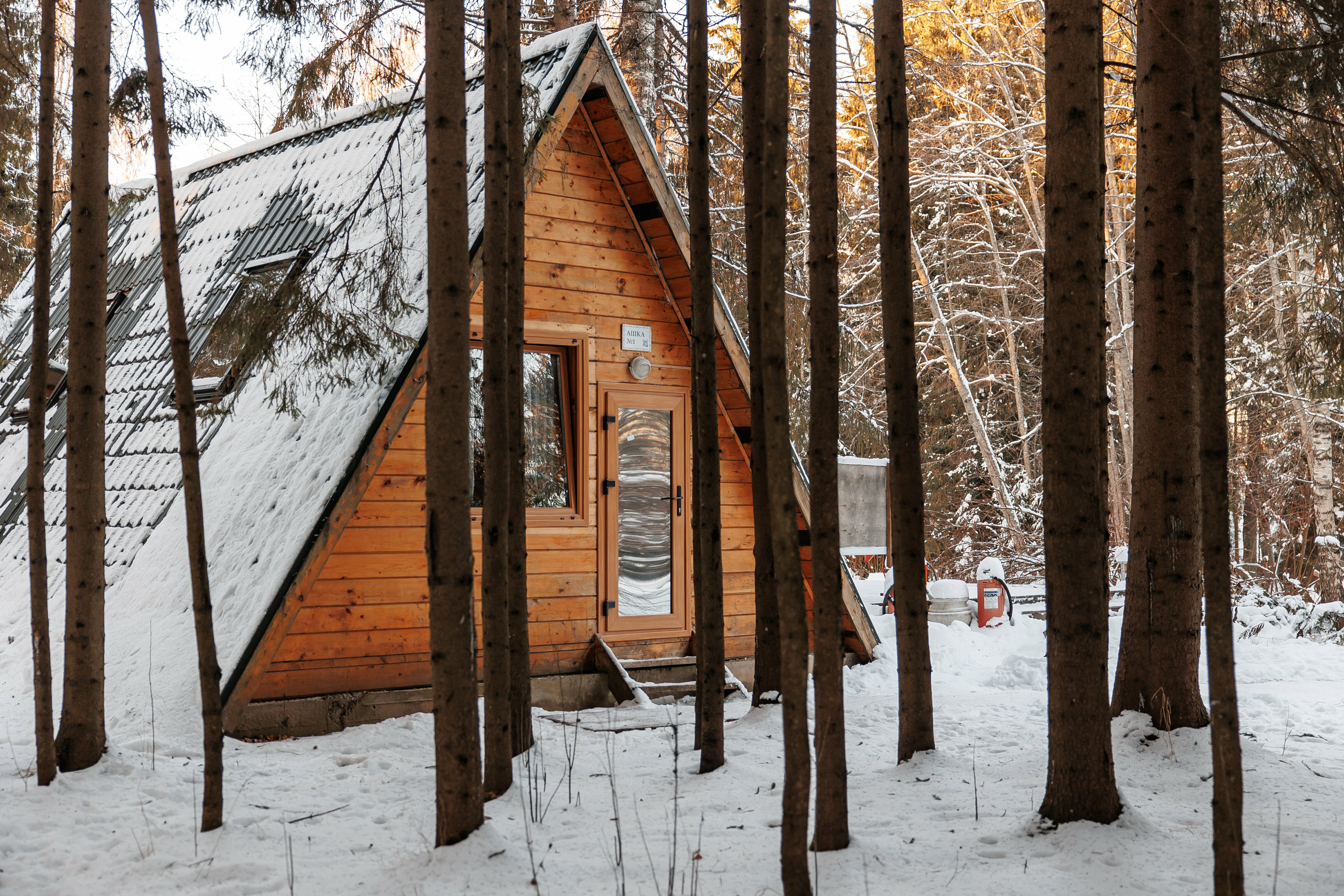 Домик Винни