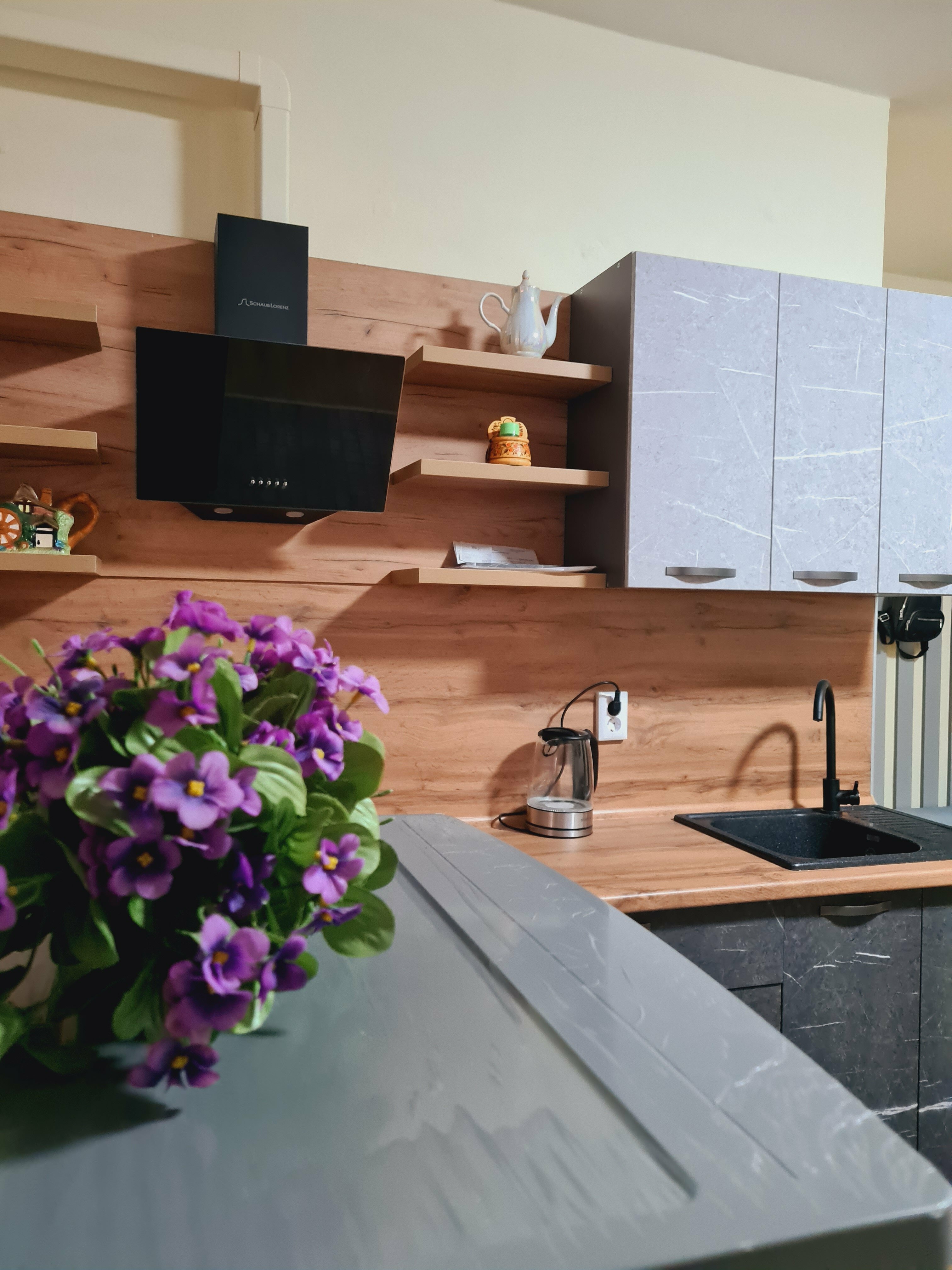 Апартаменты двухкомнатные, 4-х местные с кухней