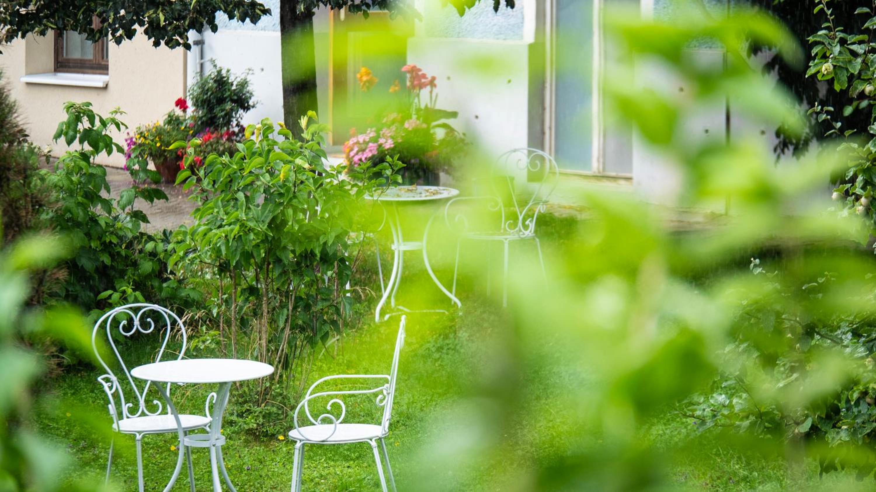 Studio with Garden View