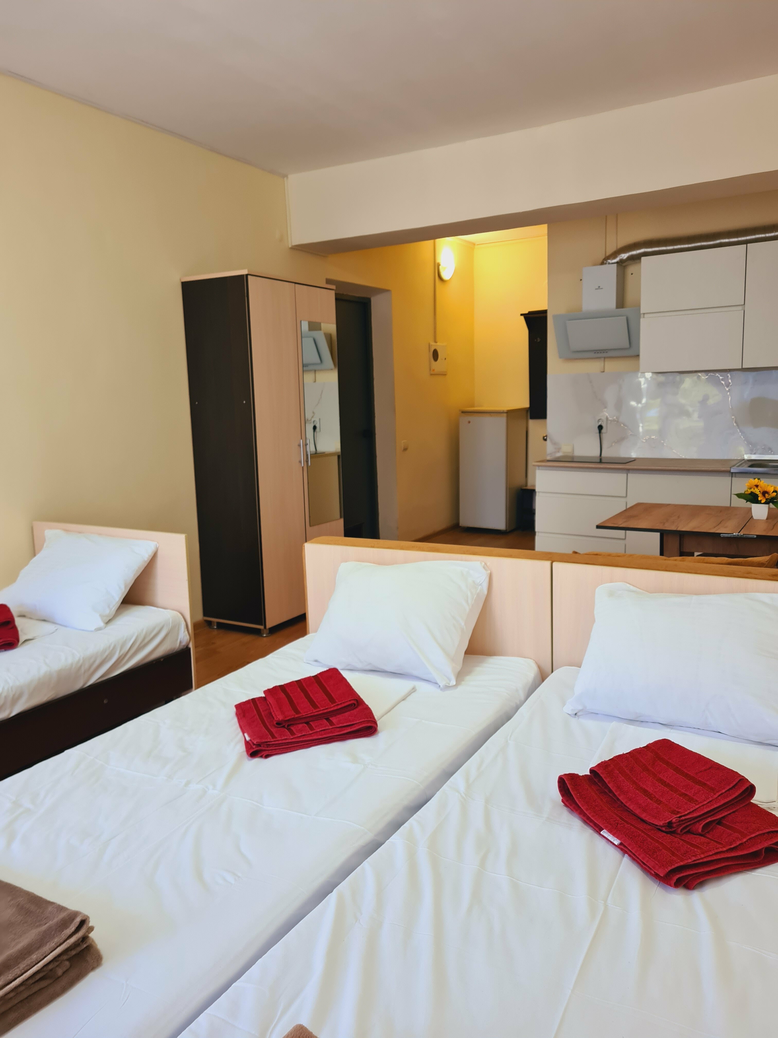 Студия с кухней, 5-ти местный