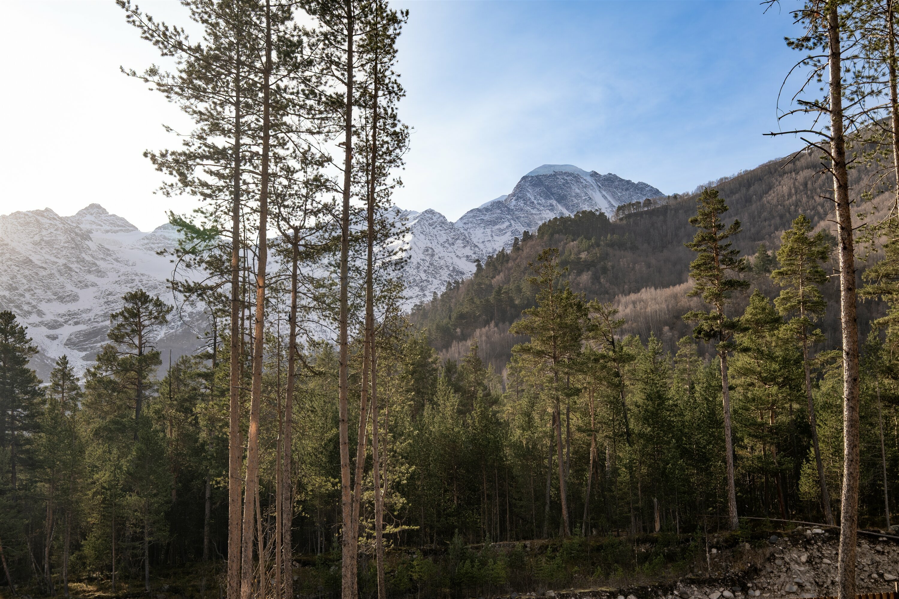 Стандартный трехместный номер