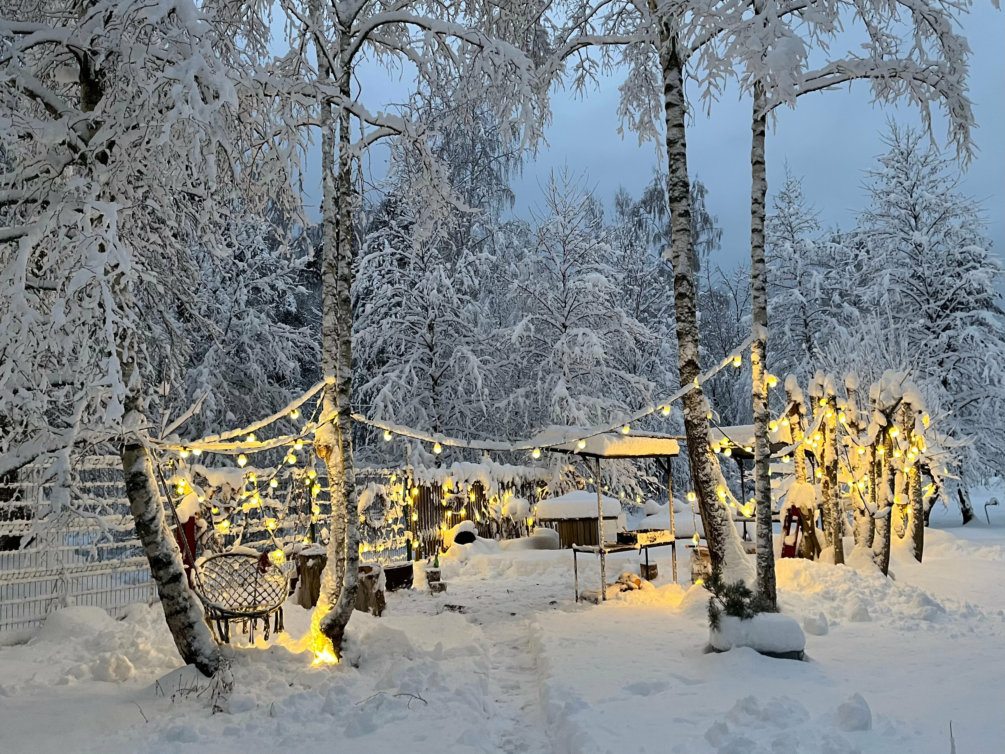 Дом с видом на лес