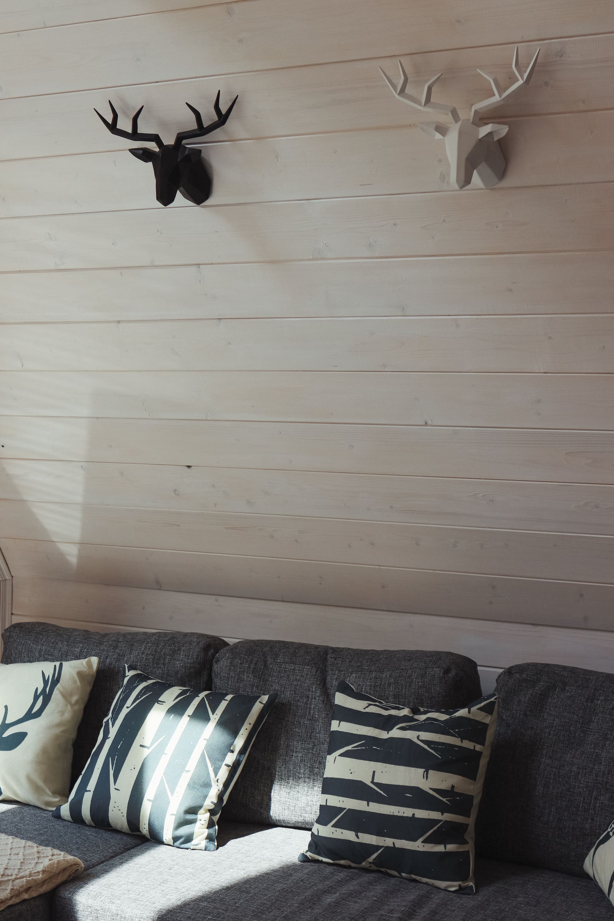 Коттедж с видом на лес