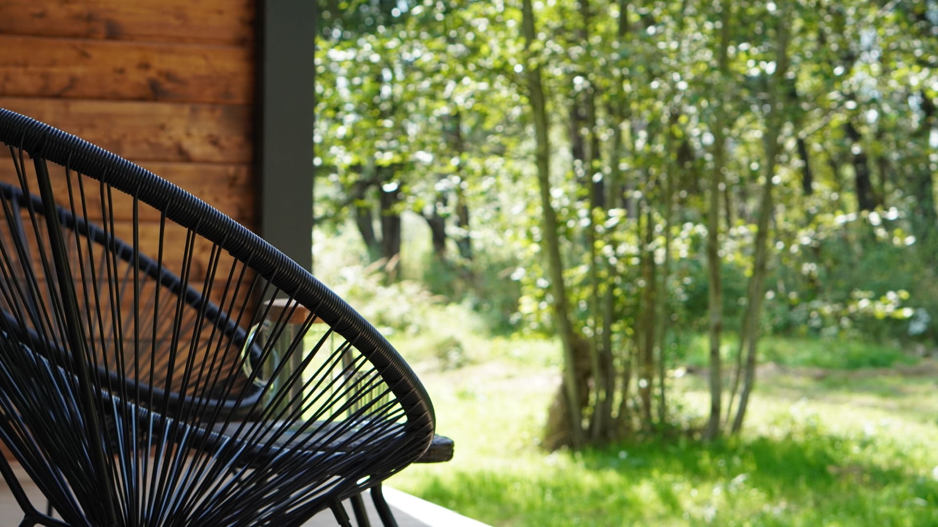 Коттедж с видом на лес