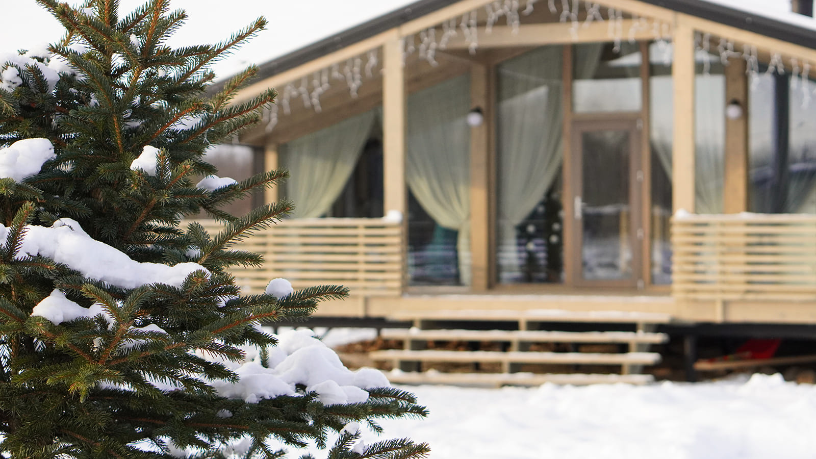 Коттедж с видом на лес