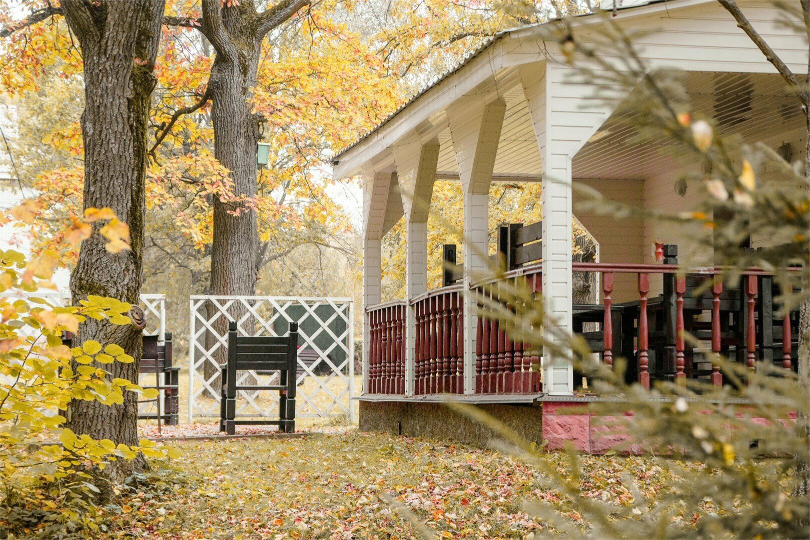 Гостевой дом "Фореста"