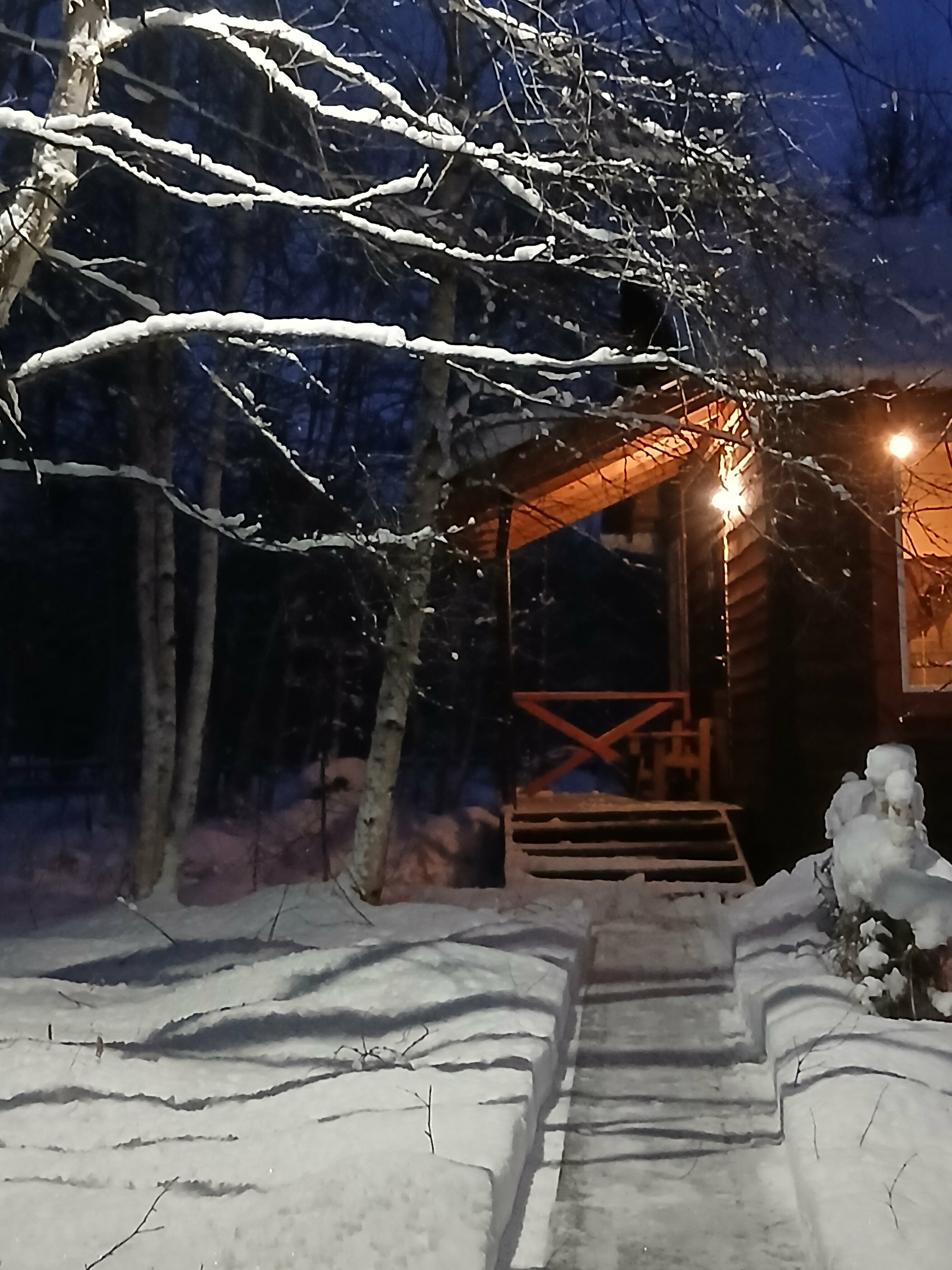 Коттедж с видом на лес