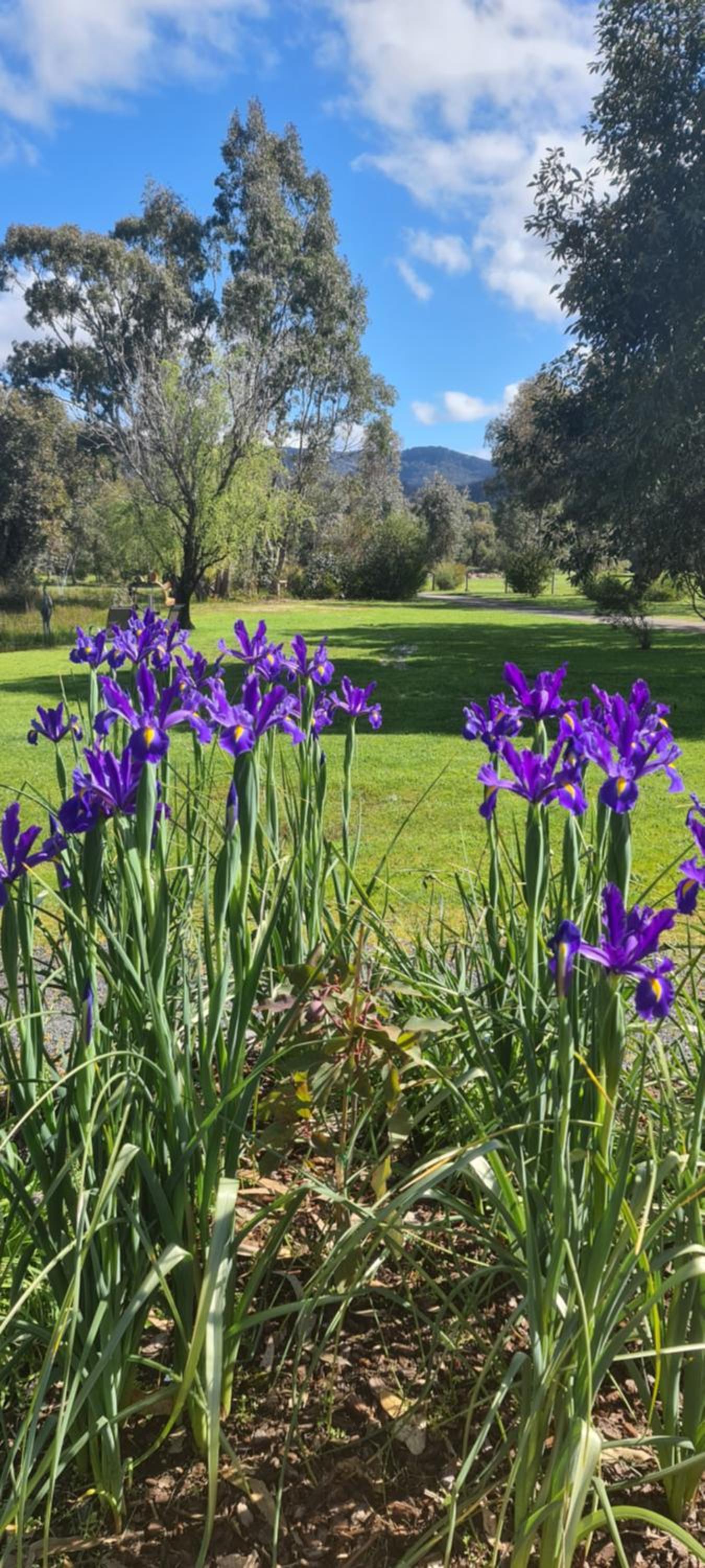 Deluxe Two-Bedroom Cottage with Spa Bath