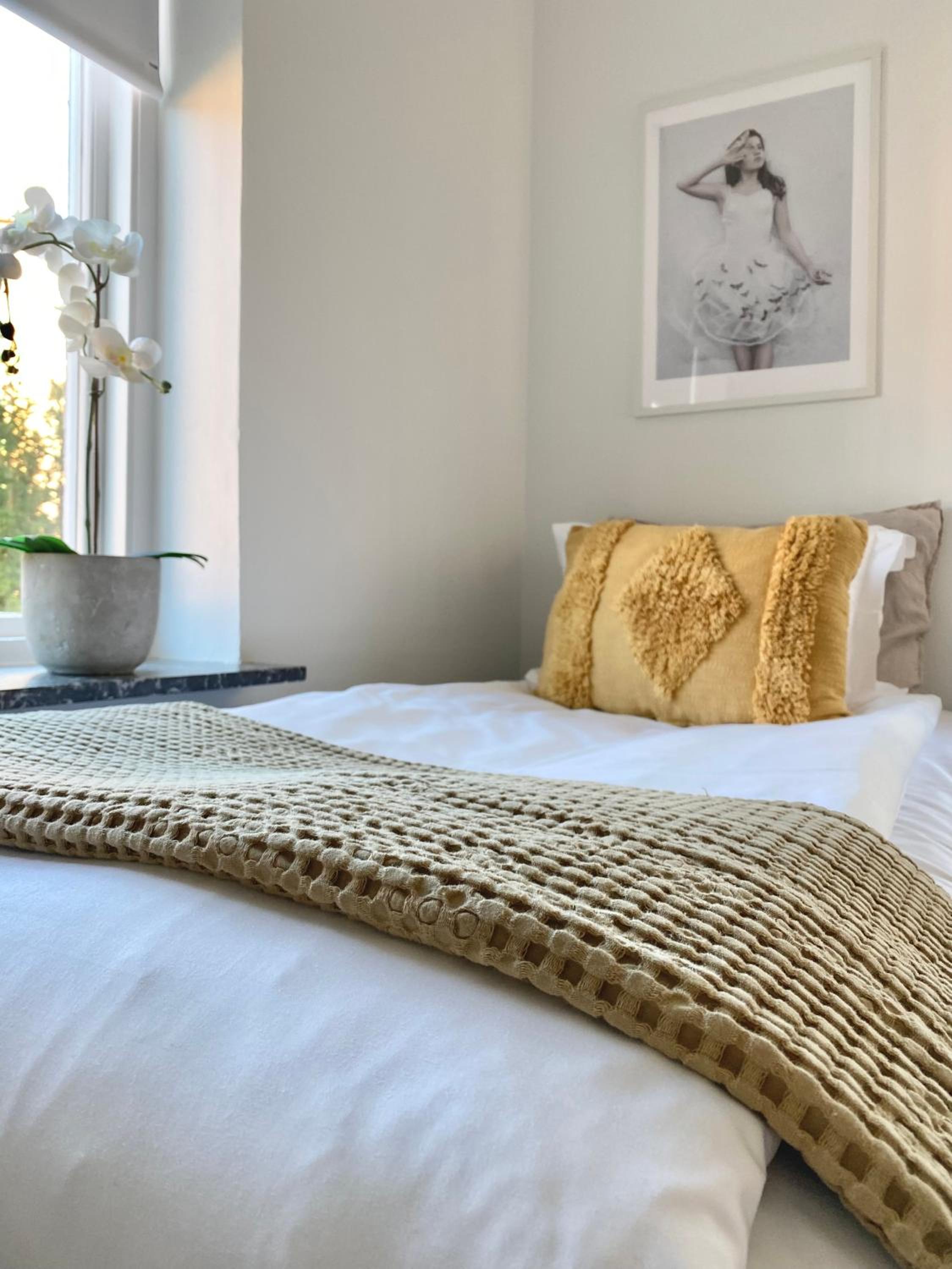 Superior Single Room