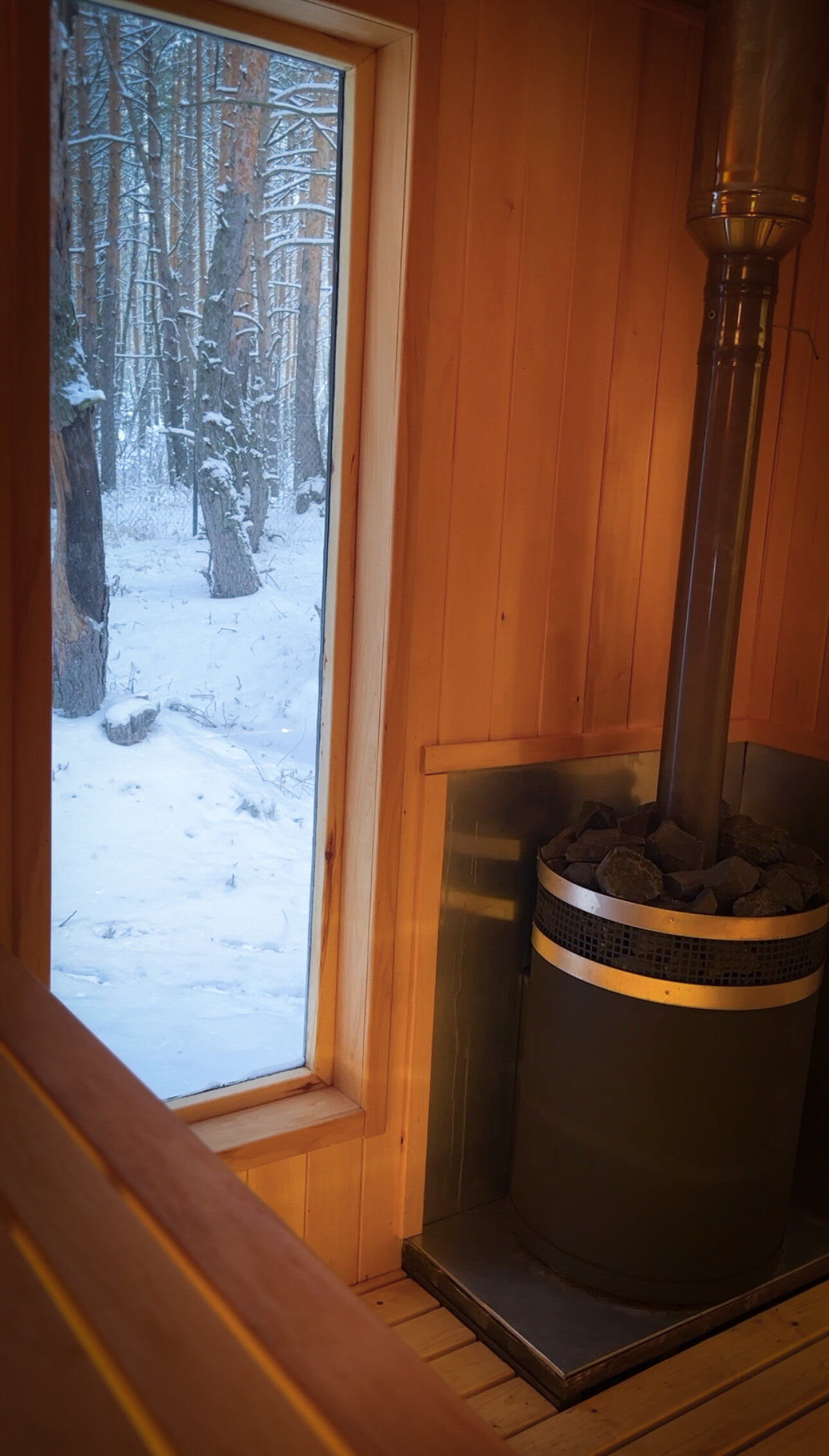 Дом с видом на лес