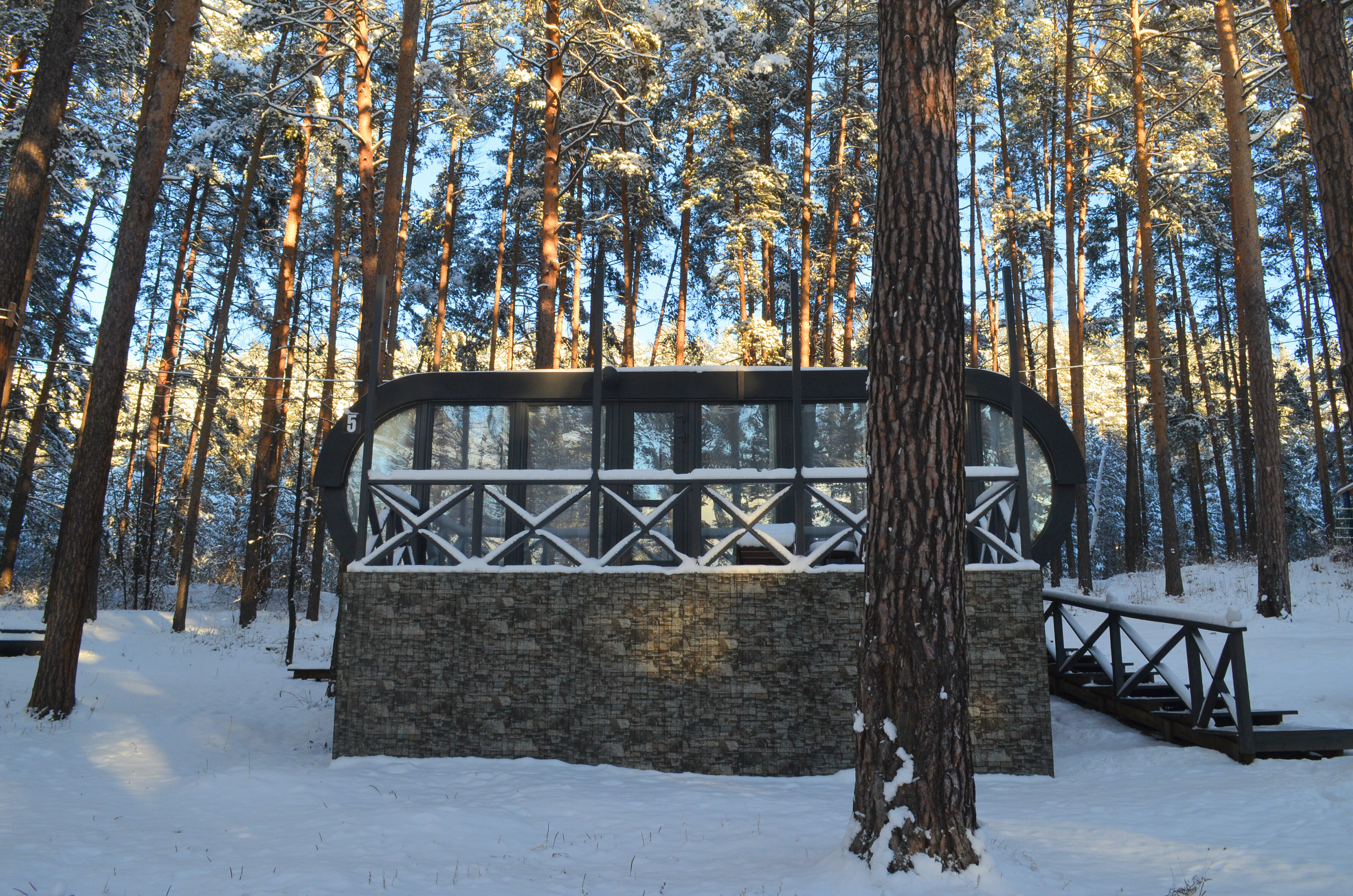 Улучшенная капсула