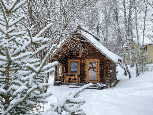 Дом в Туристический комплекс Усадьба Сокол