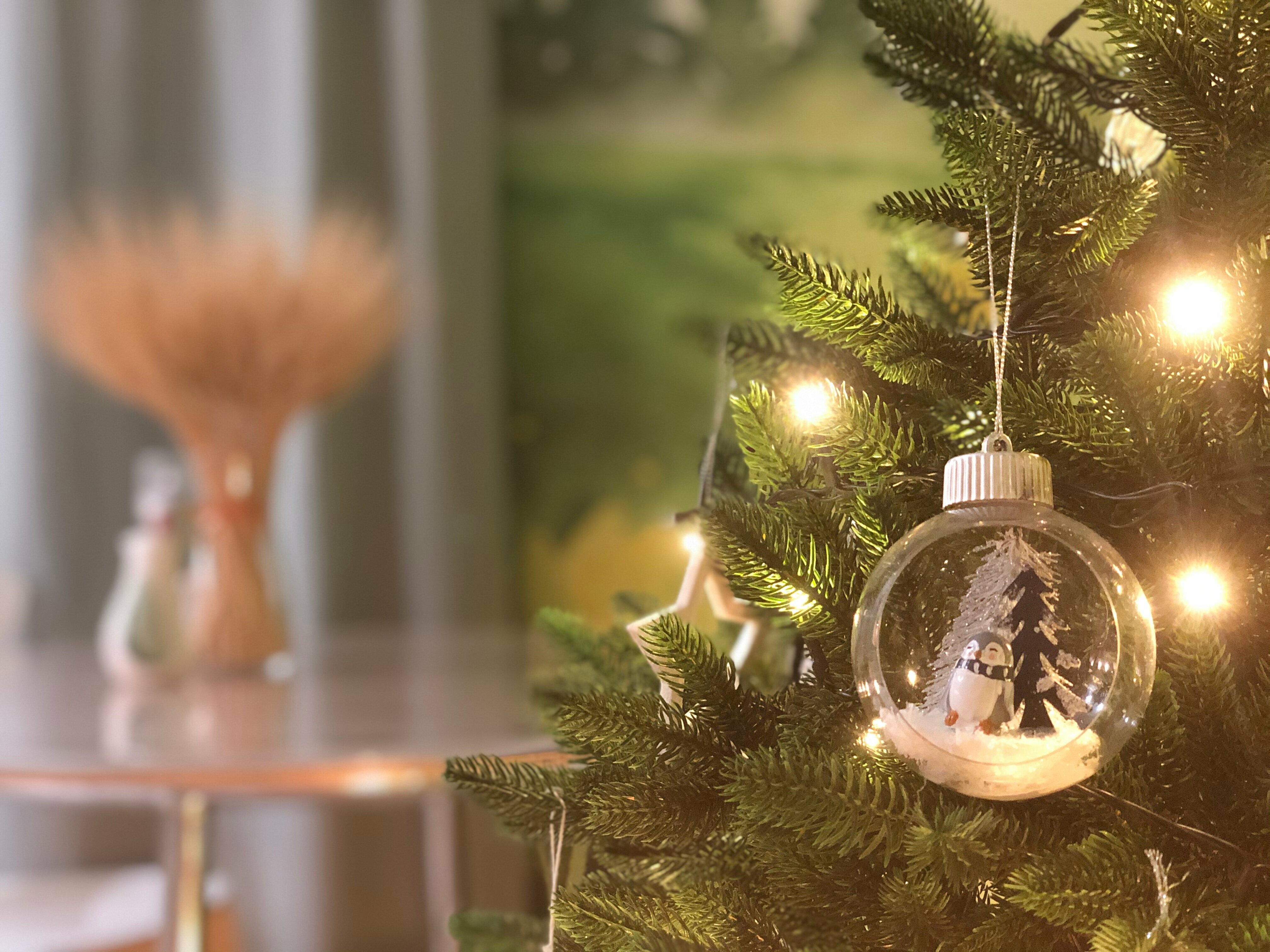 Апартаменты с видом на горы