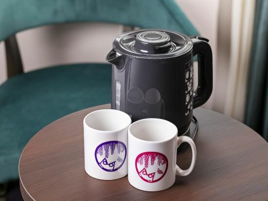 Superior Single Room