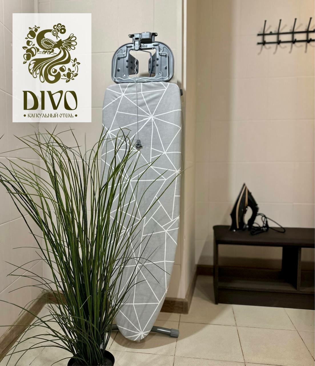 Одноместная капсула Divo женская верхняя