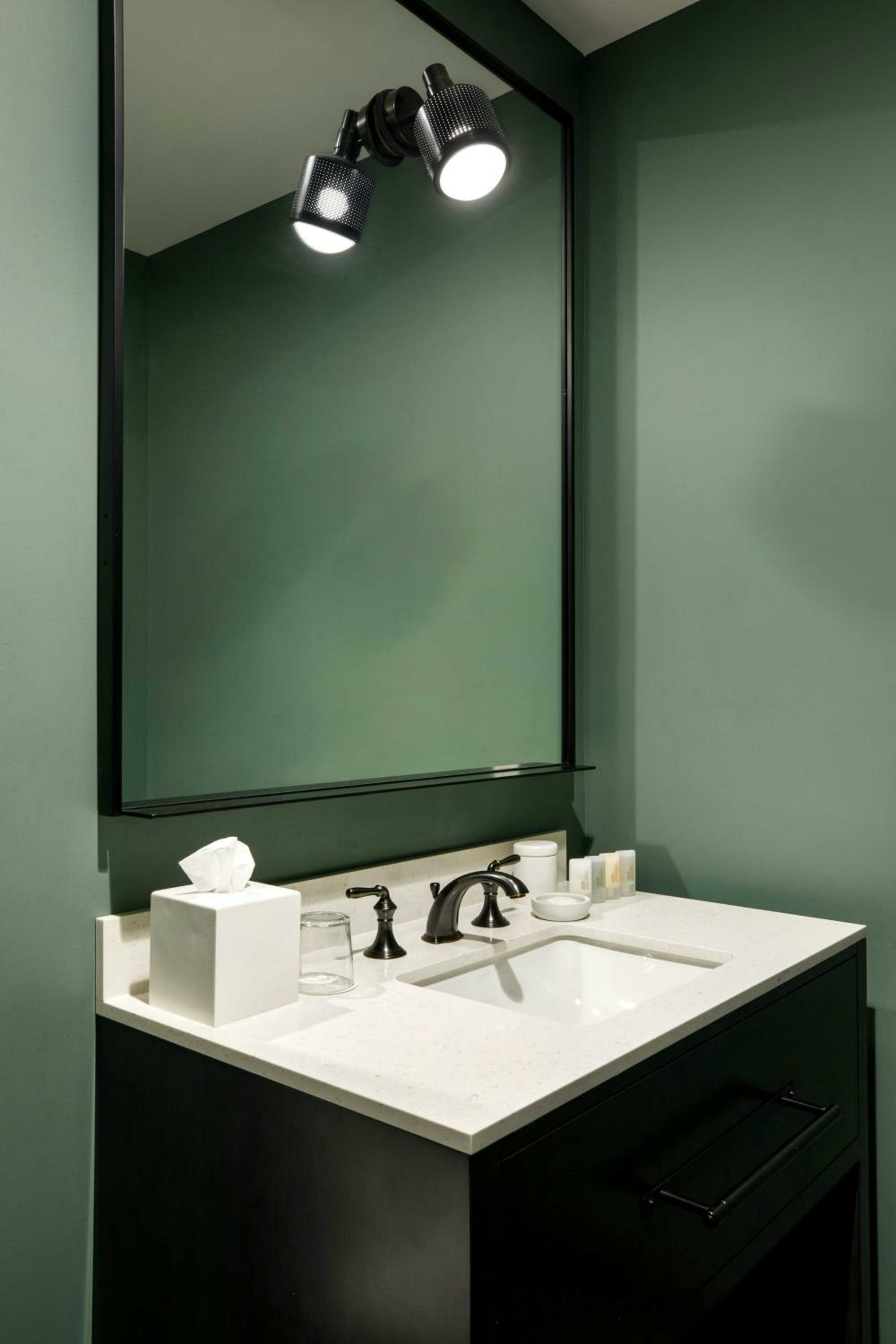 King, Guest room, 1 King (Mobility &amp; Hearing Accessible w/ Roll-in Shower)