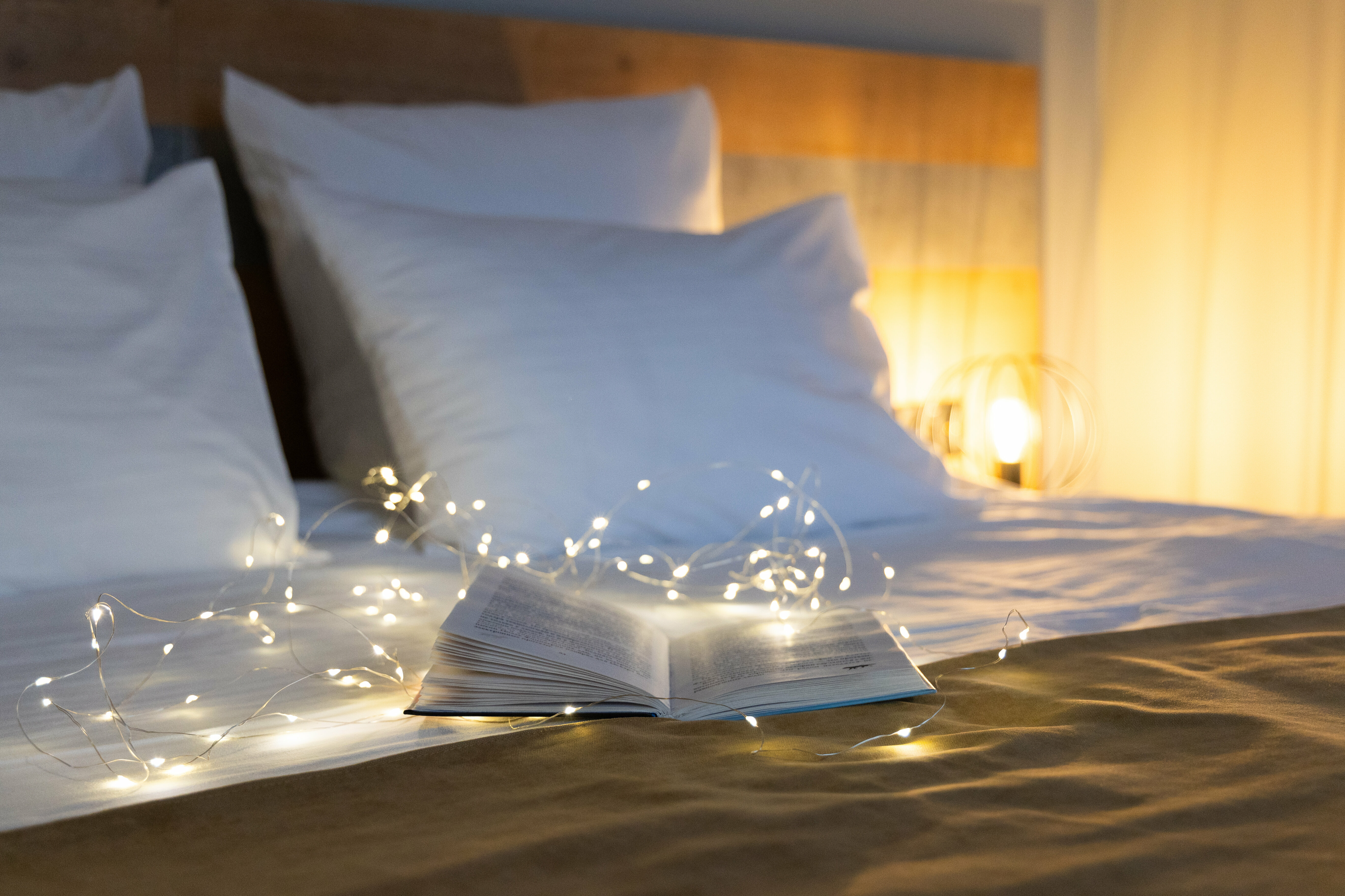 Студия 3 дюна "Ветцекруго"