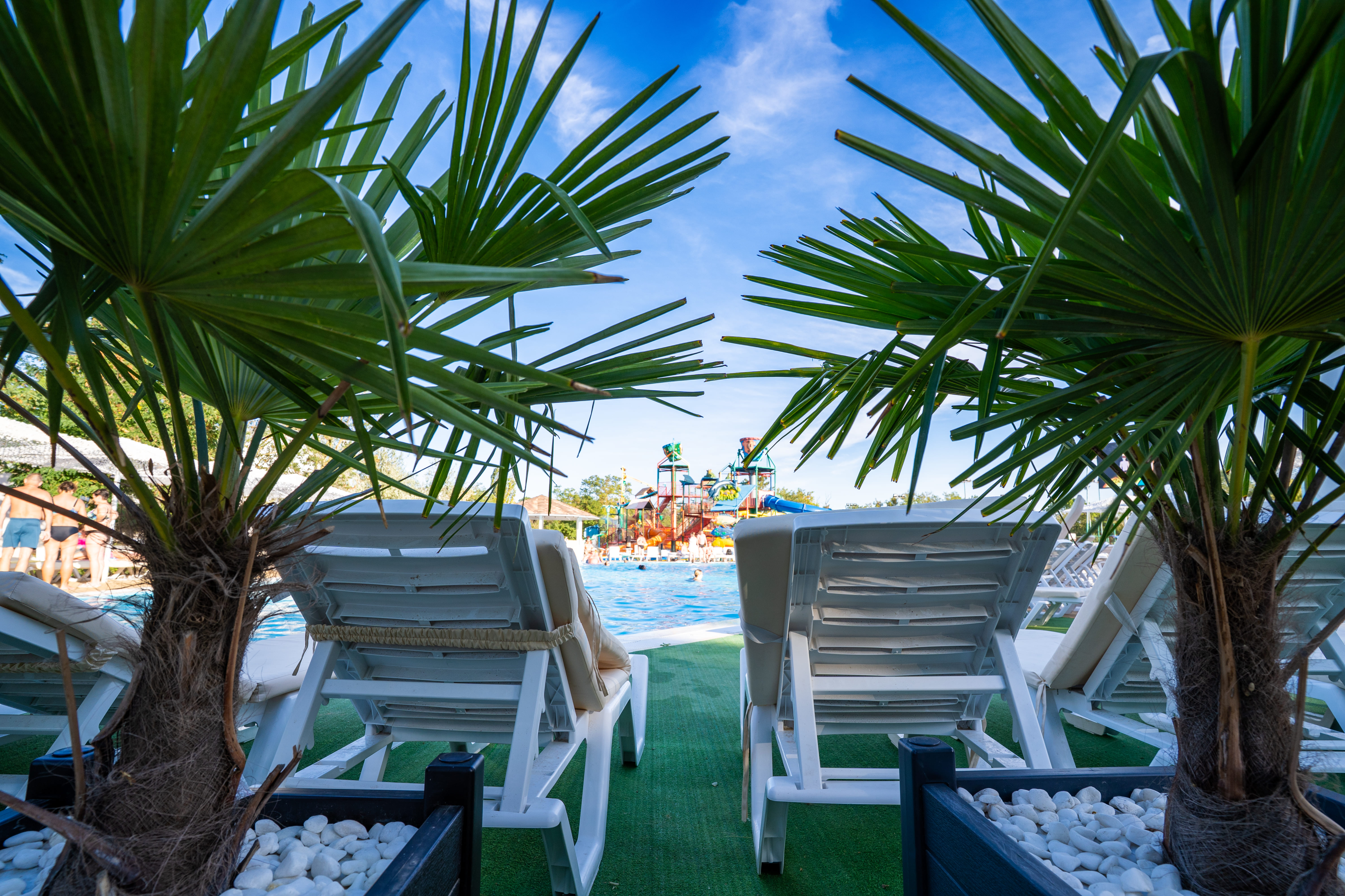 Роскошный четырехместный номер