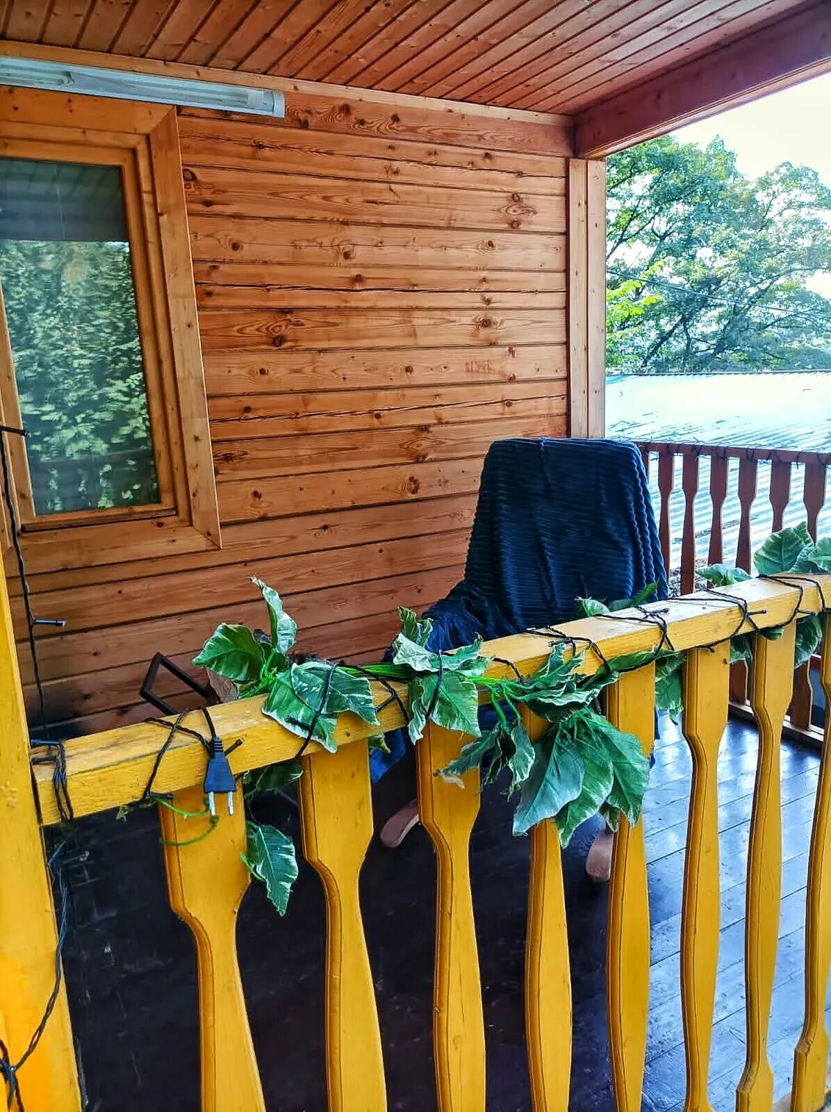 Дом с видом на лес