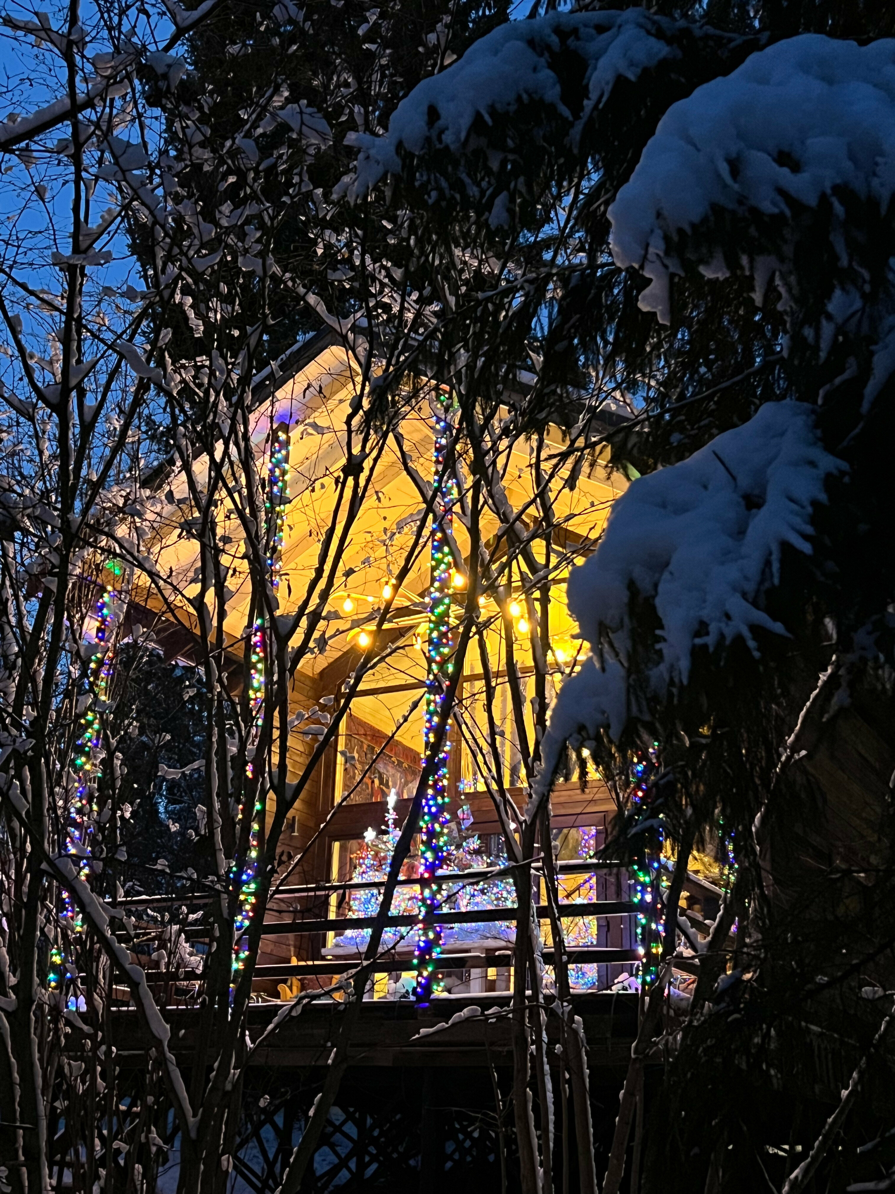 Дом с видом на лес