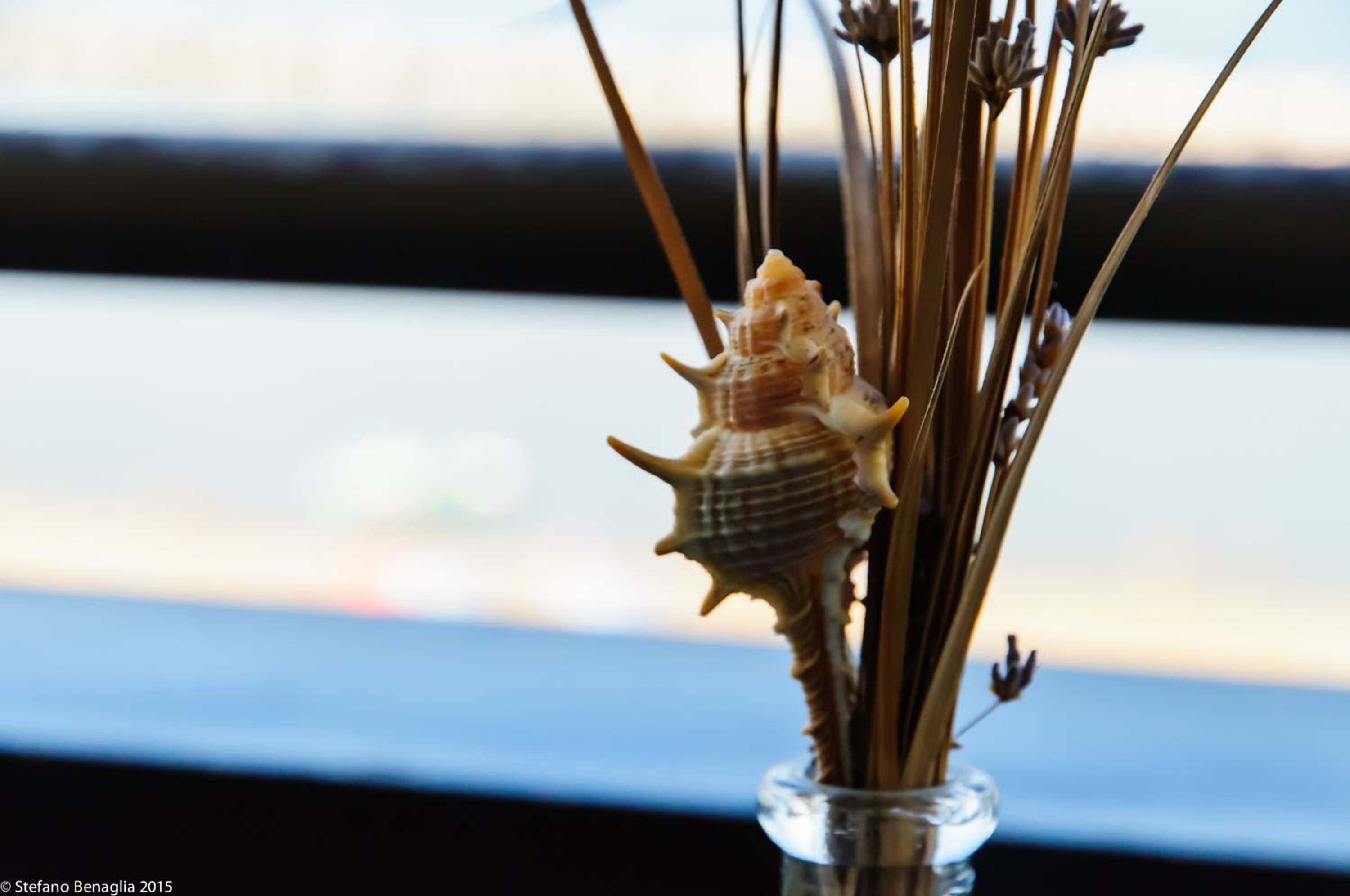 One-Bedroom Apartment Front Sea View  