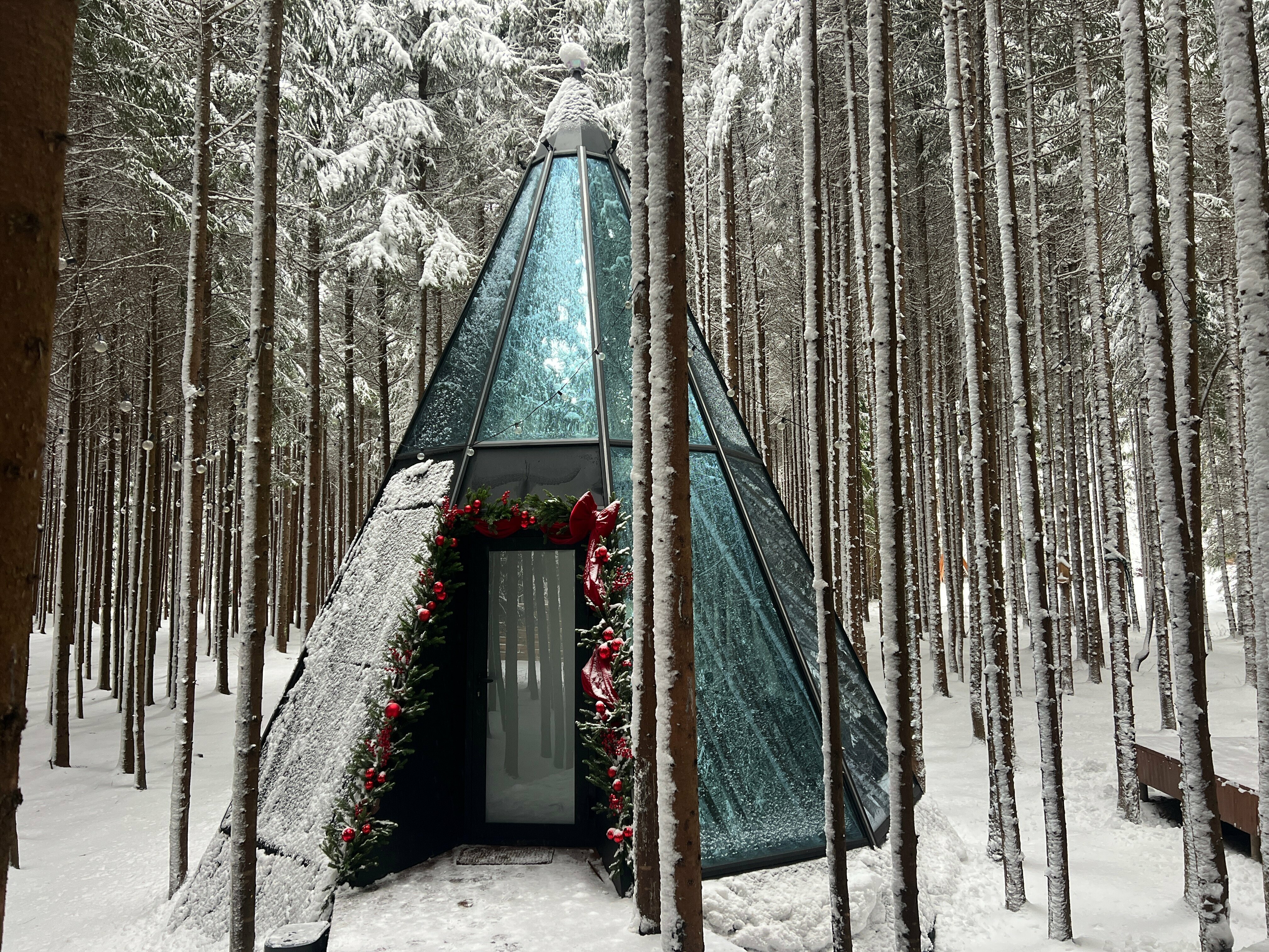 Люкс с террасой