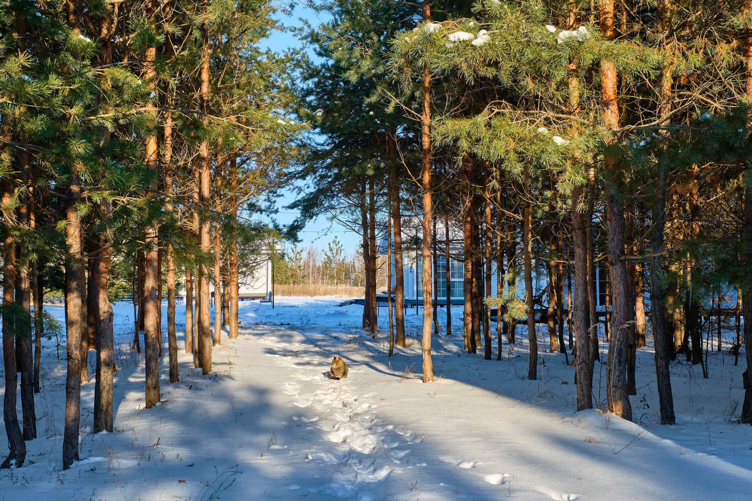 Дом для отпуска