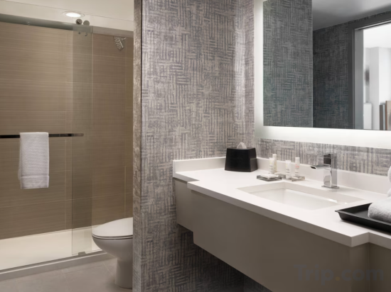Suite, 1 King Bed With Sofa Bed (Mobility Accessible, Tub)