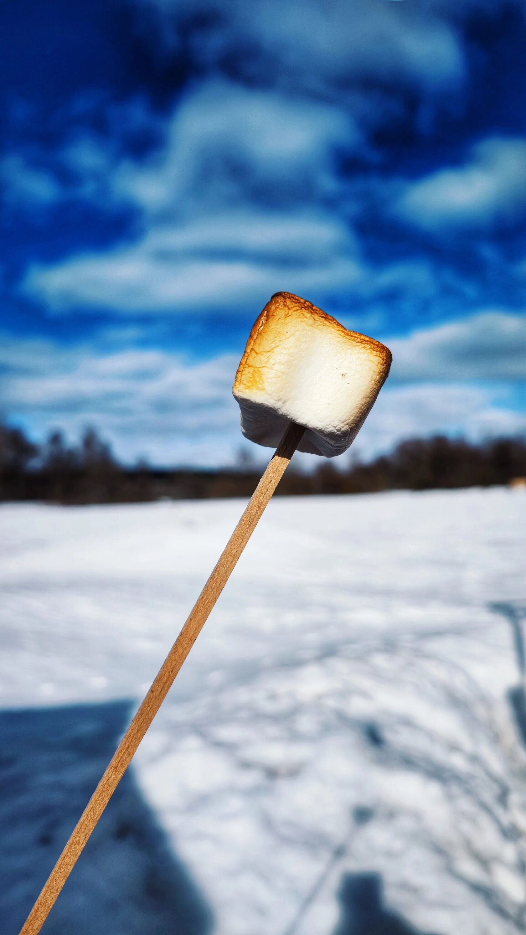 Дом для отпуска