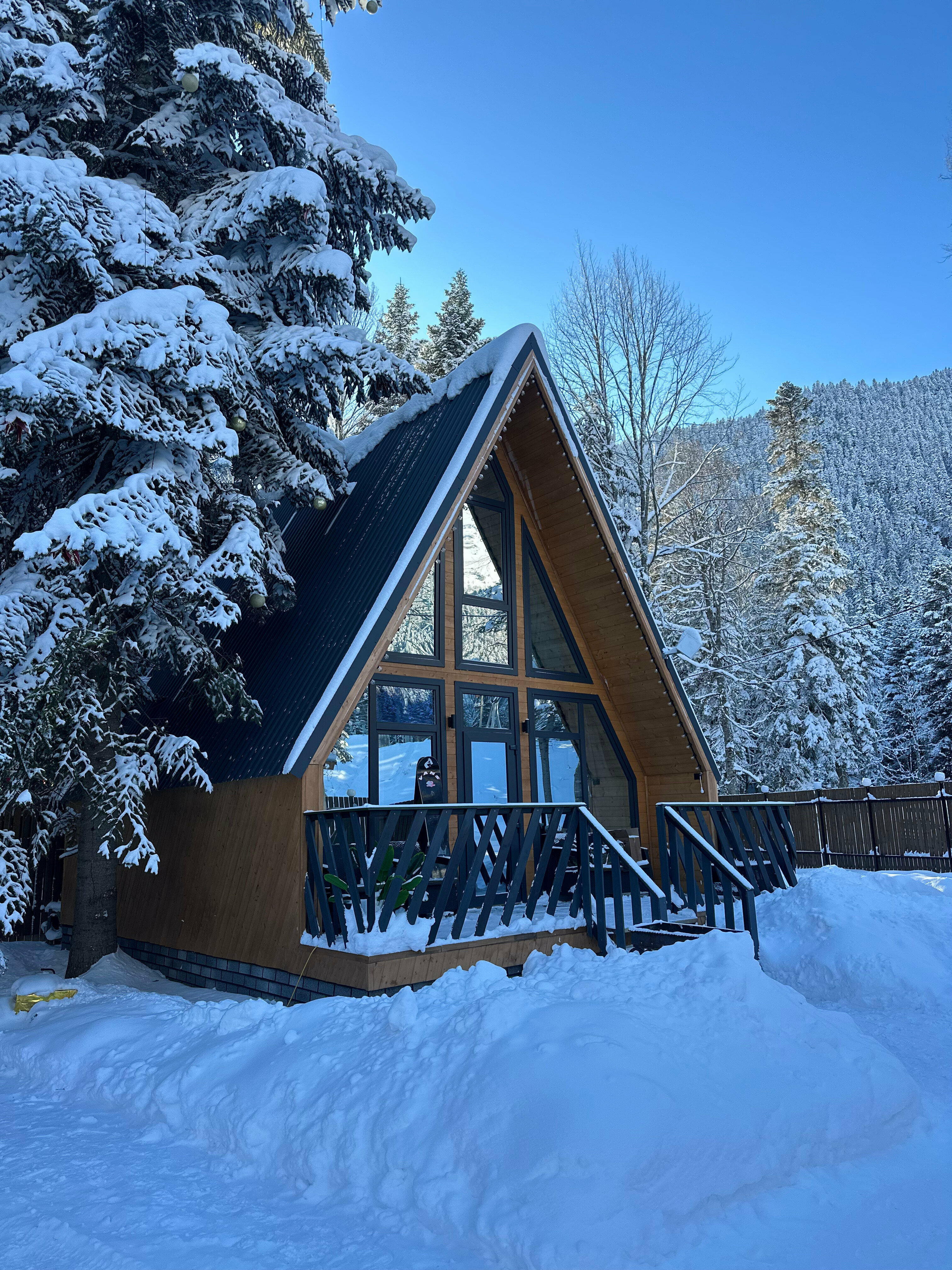 Афрейм с видом на горы и лес