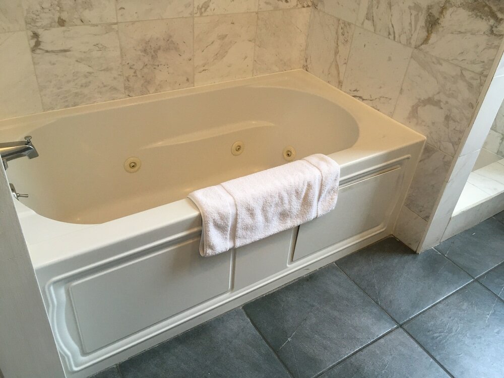 Large Extended Suite 403 (1 bdrm apt)