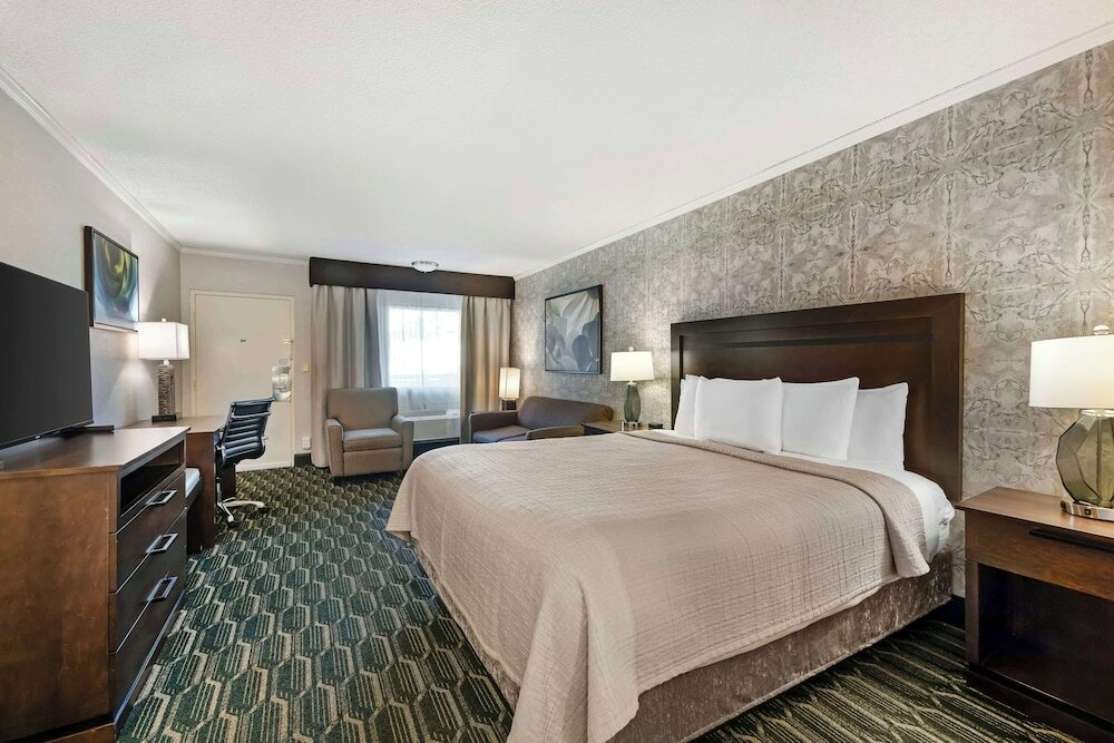 Deluxe Room, 1 King Bed, Non Smoking, Refrigerator & Microwave (with Sofabed)