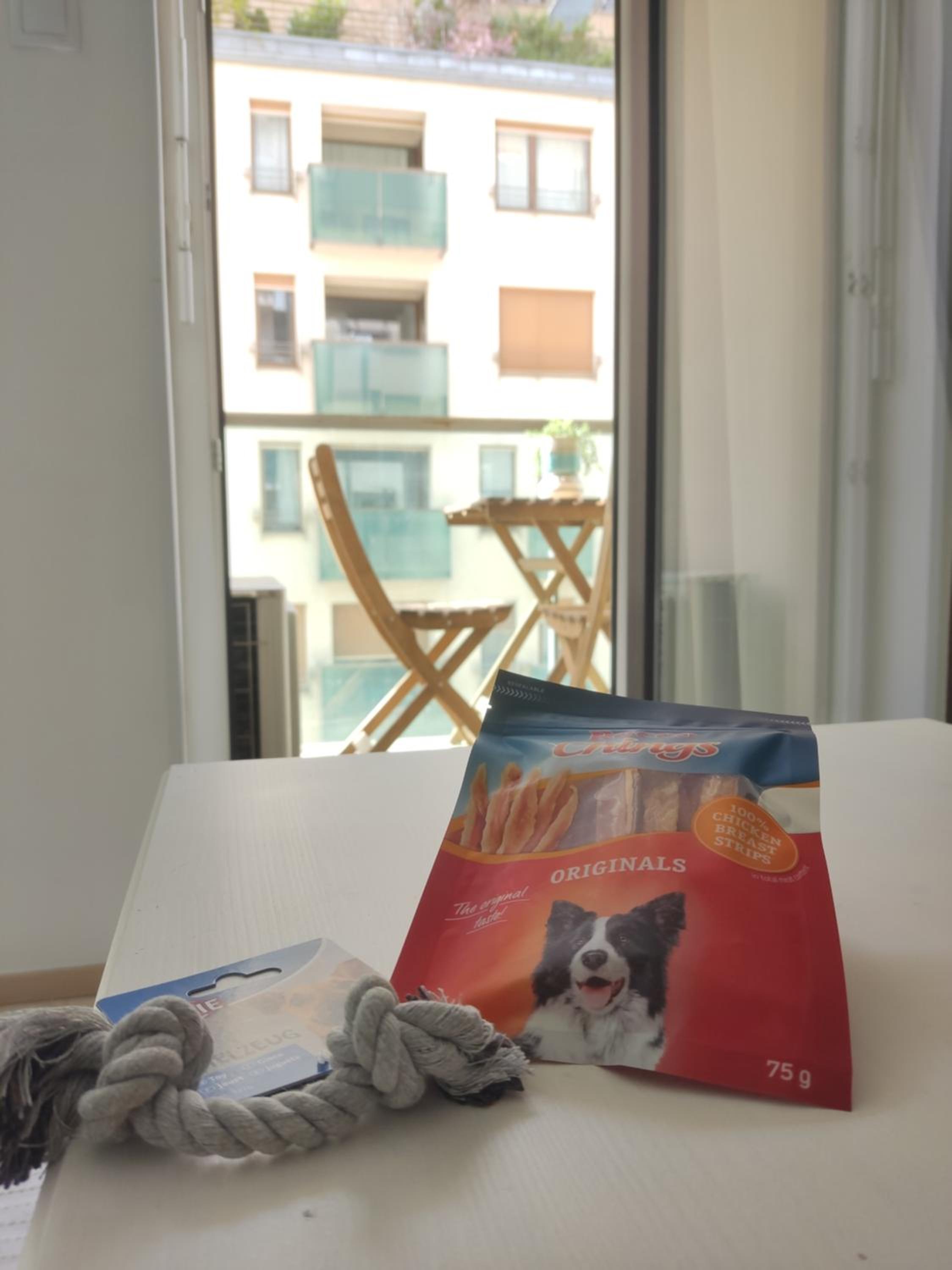 Pet Friendly Apartment