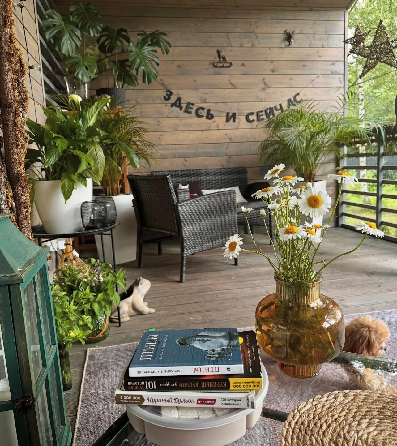 Семейный номер с видом на сад