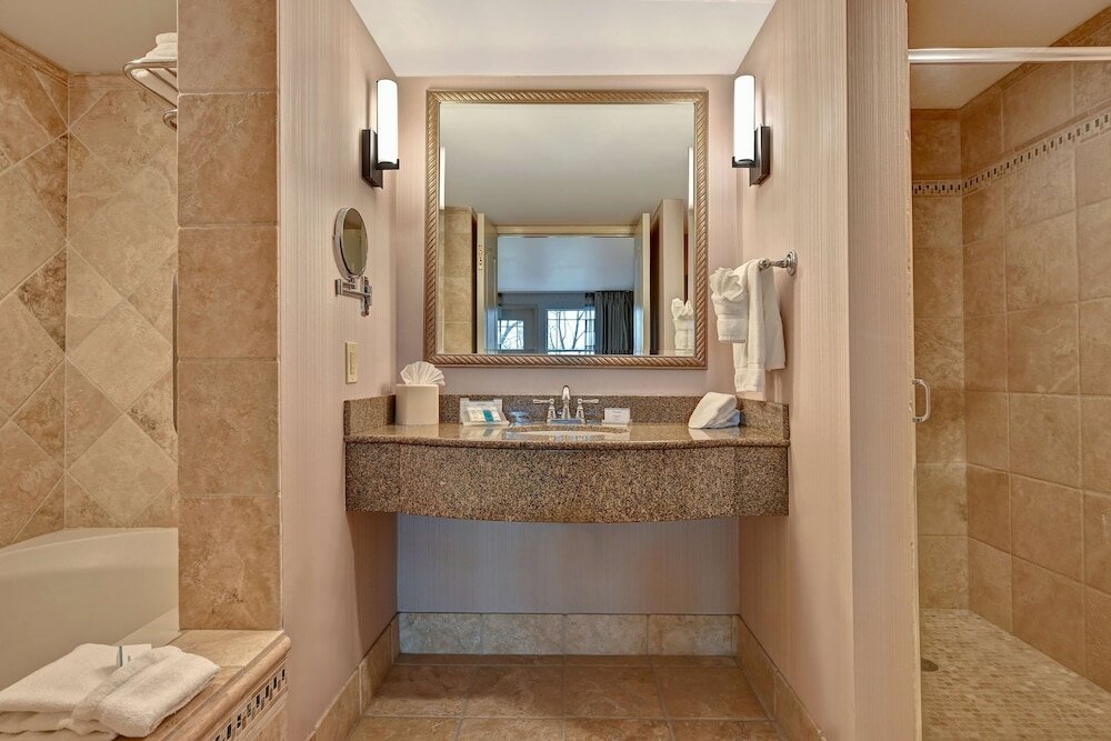 Corporate Suite One King Bed Accessible River View