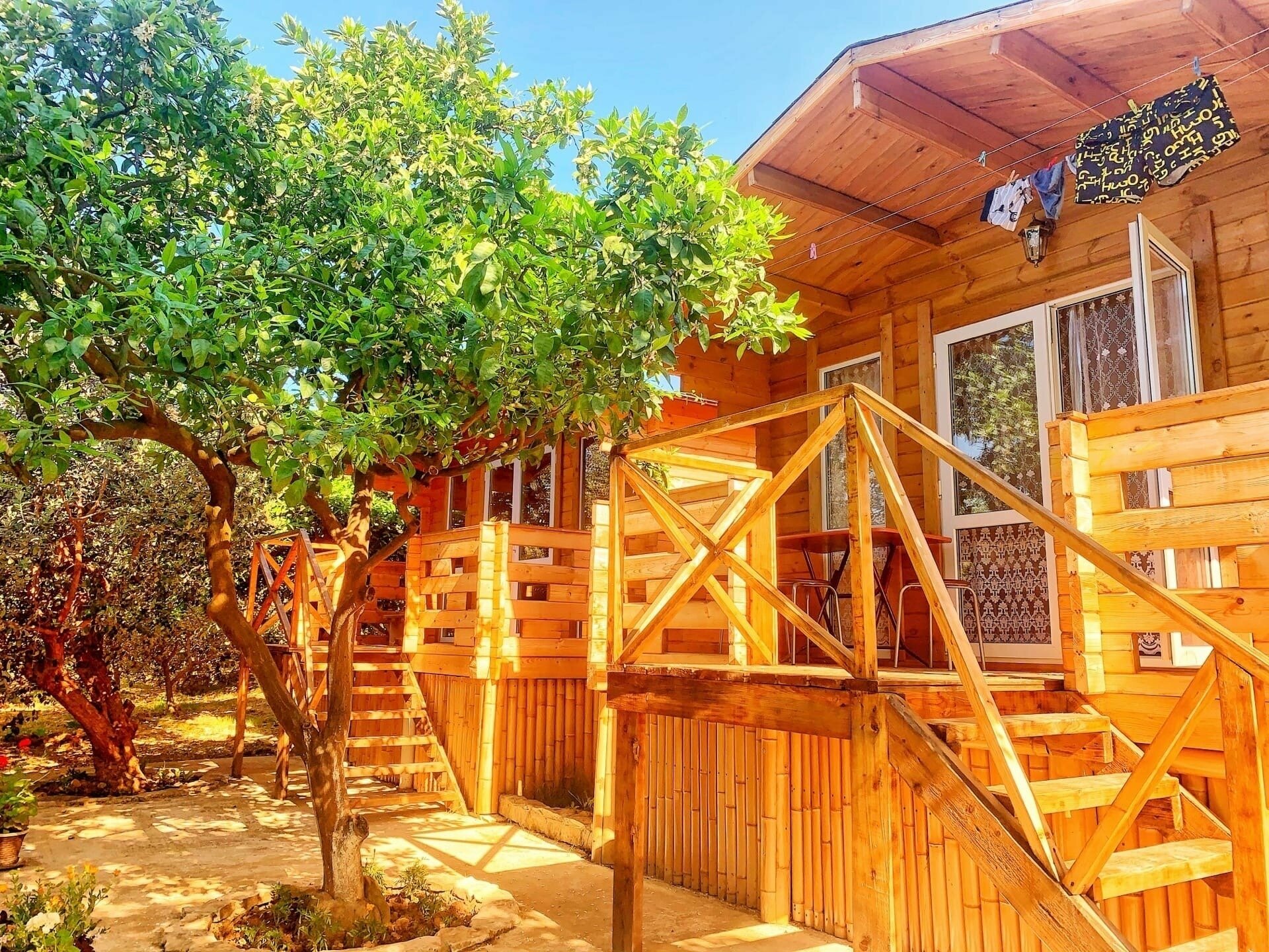 Трехместный домик в цитрусовом саду